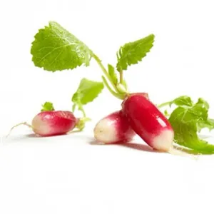 Les Jardins Du Merle