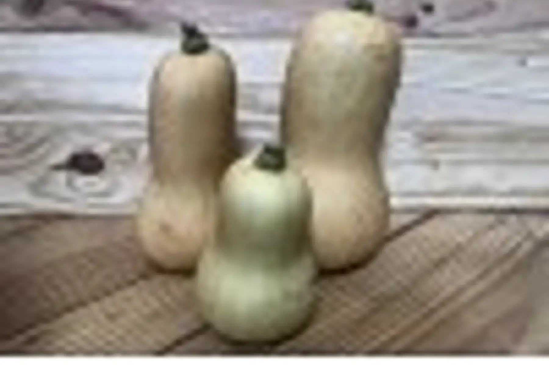 Mini Butternut