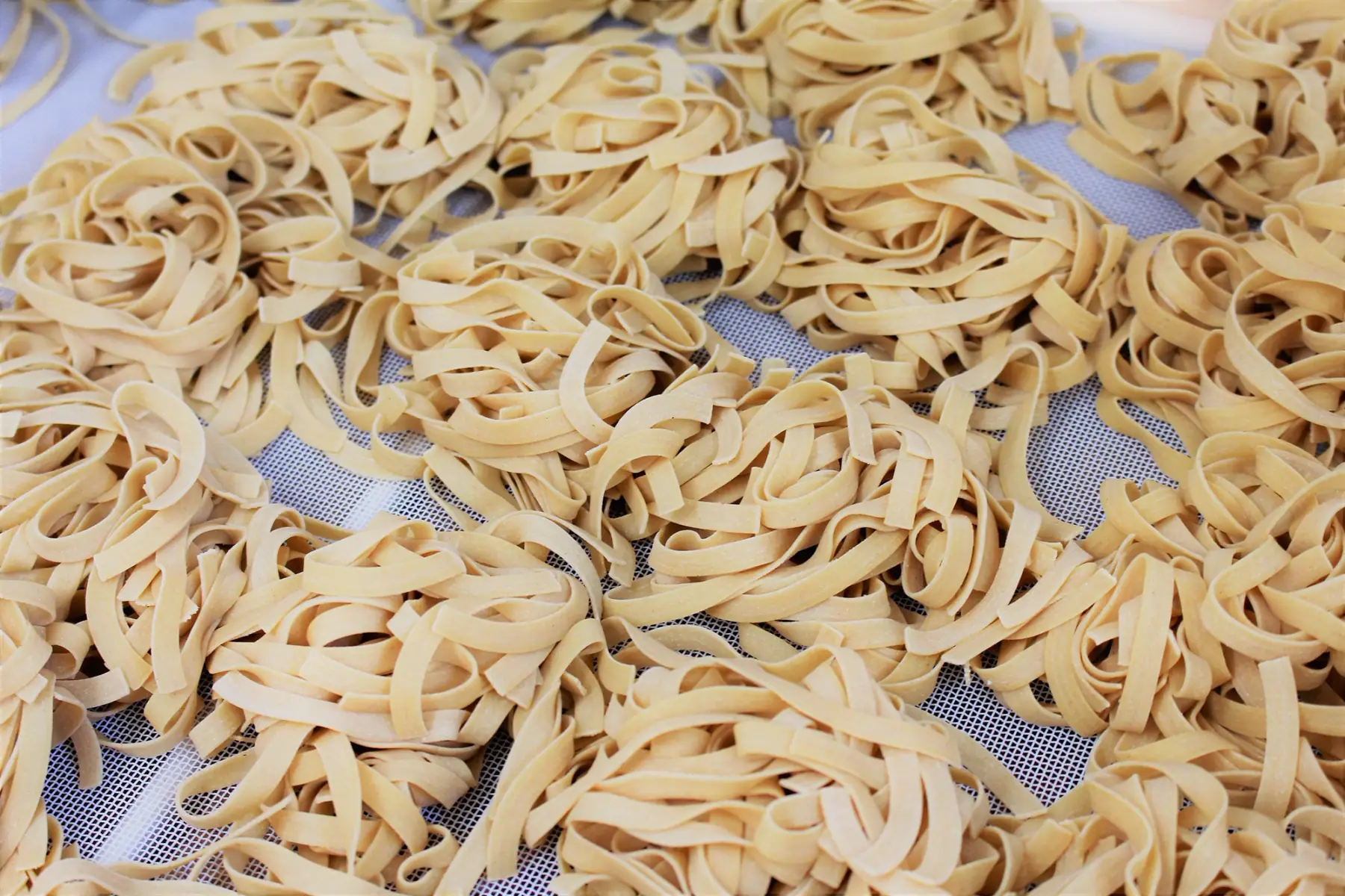 tagliatelles natures semi complètes