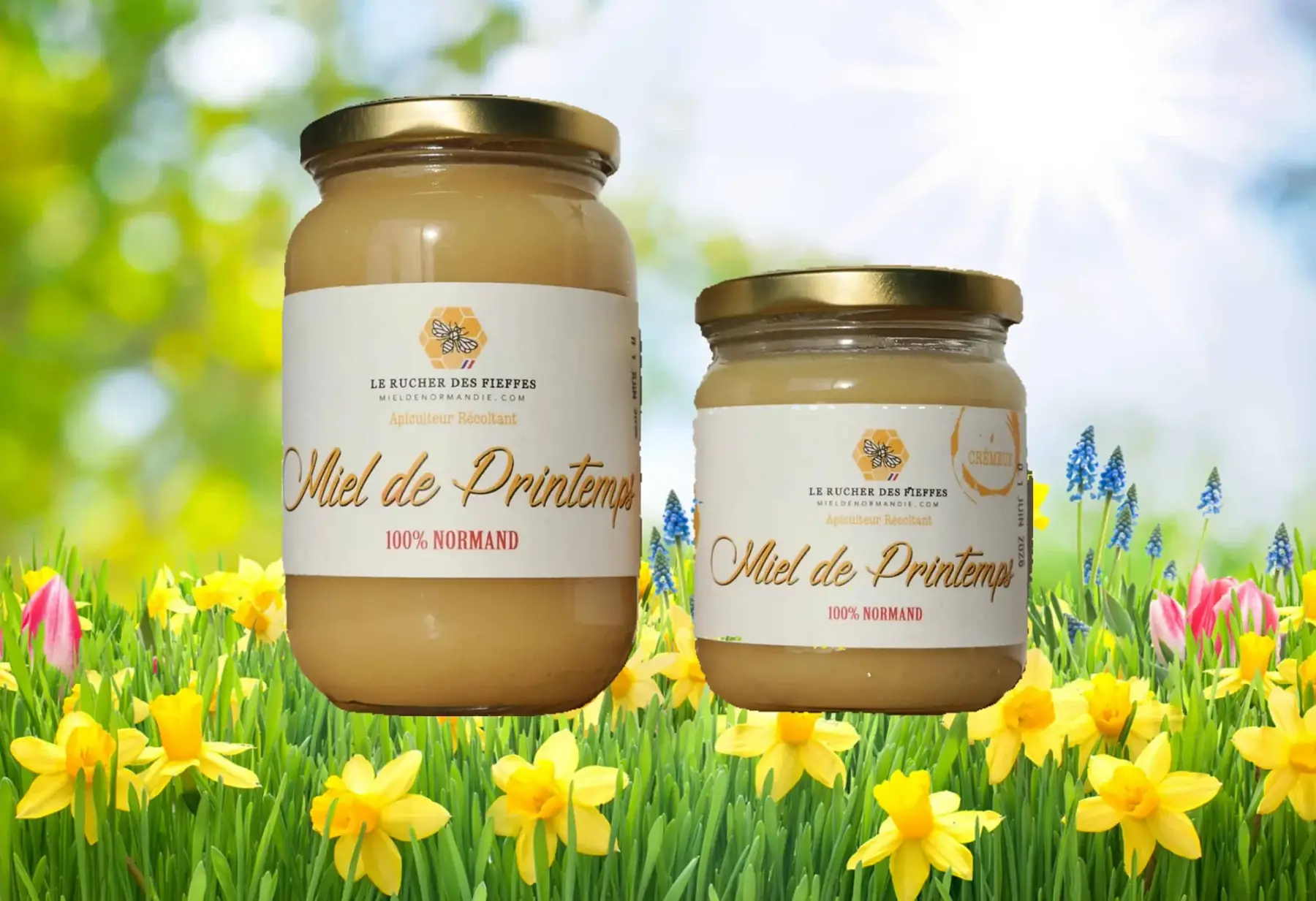 Miel de Printemps