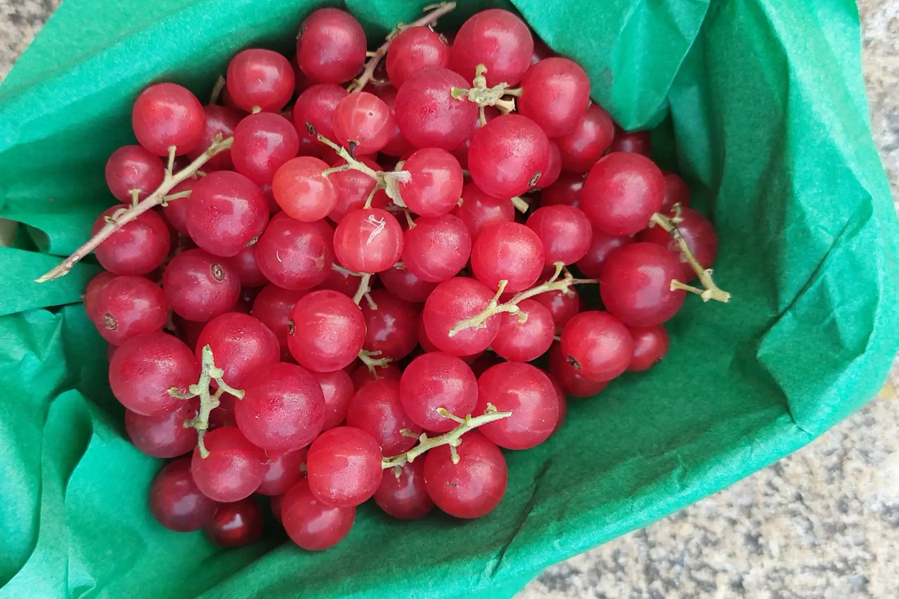Barquette Groseilles Rouges Bio