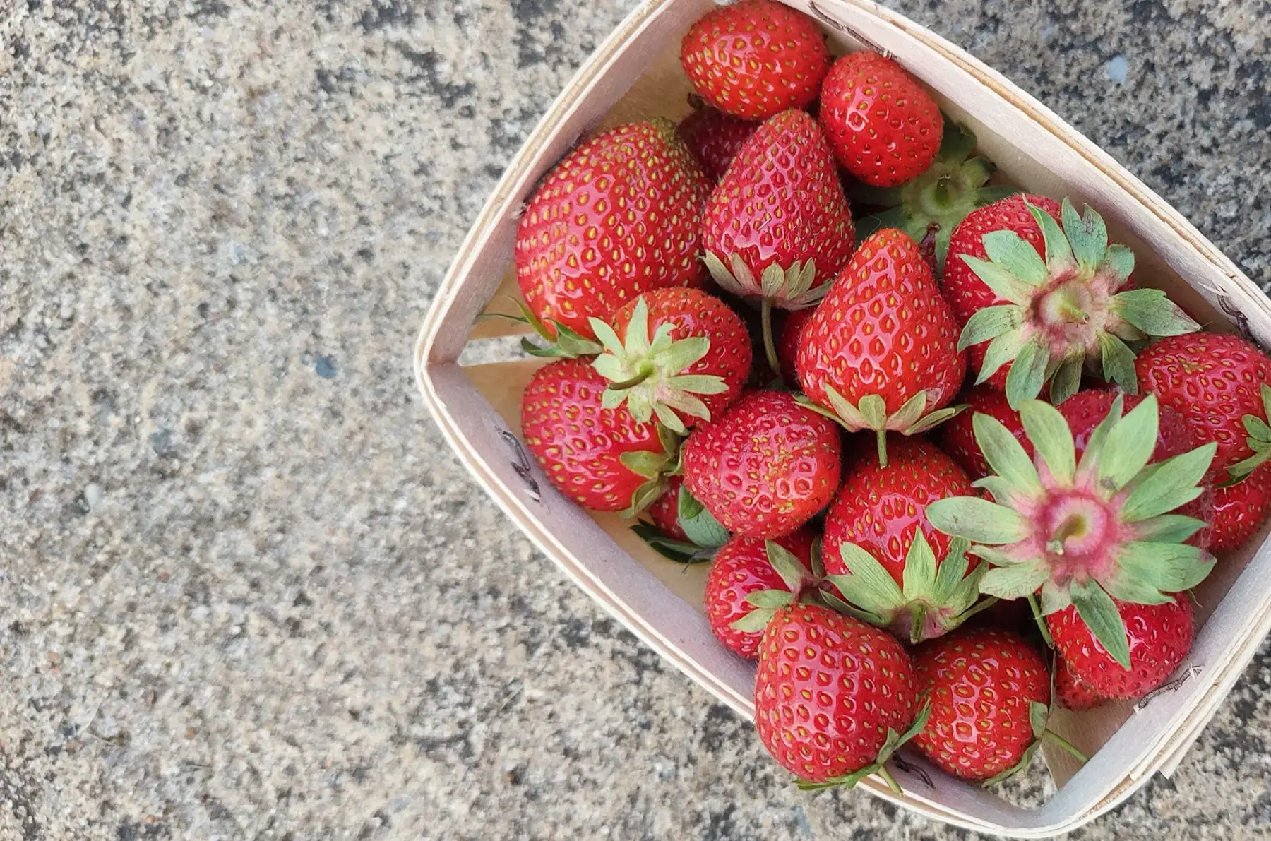 Barquette de Fraises Bio