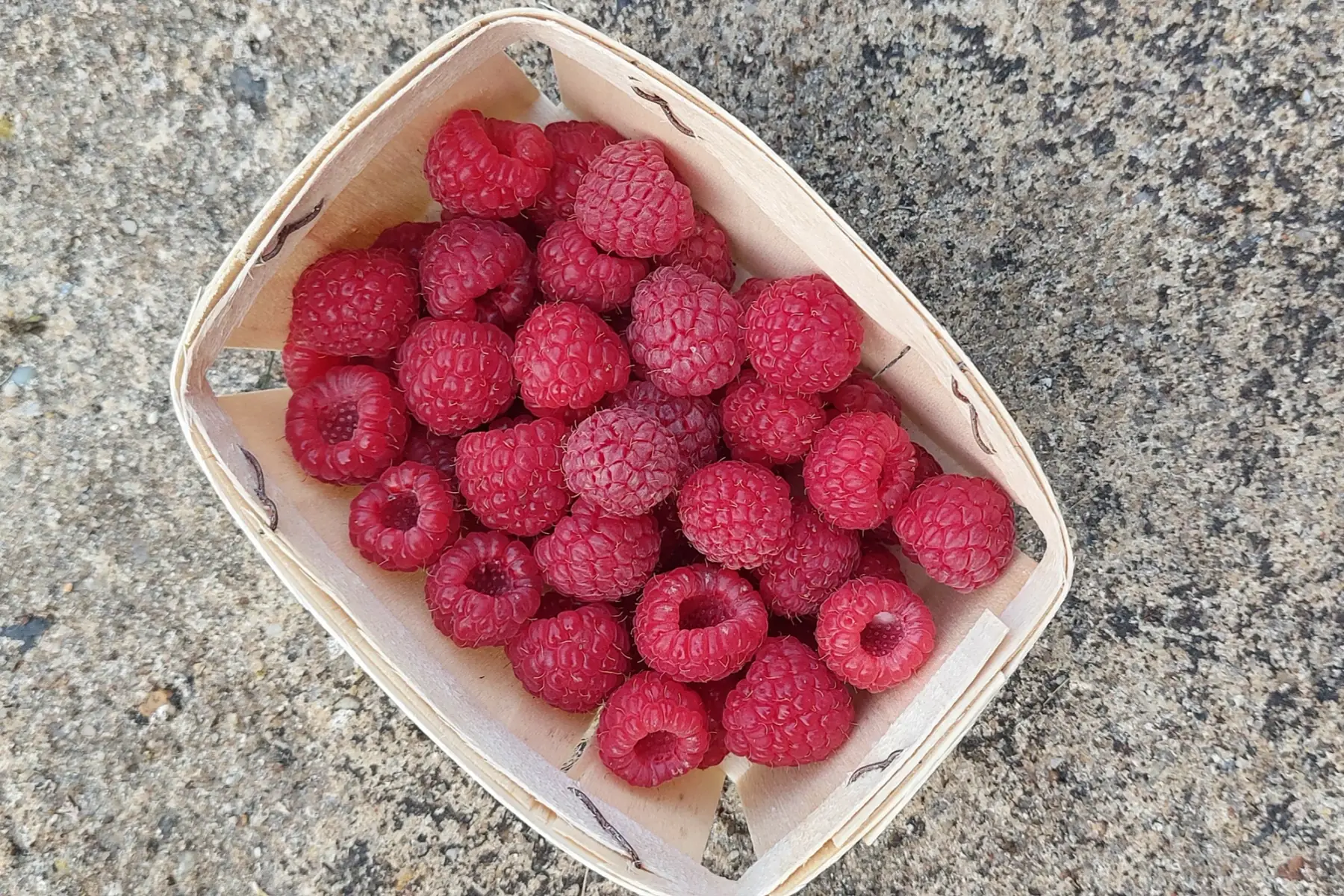 Barquette de Framboises Bio