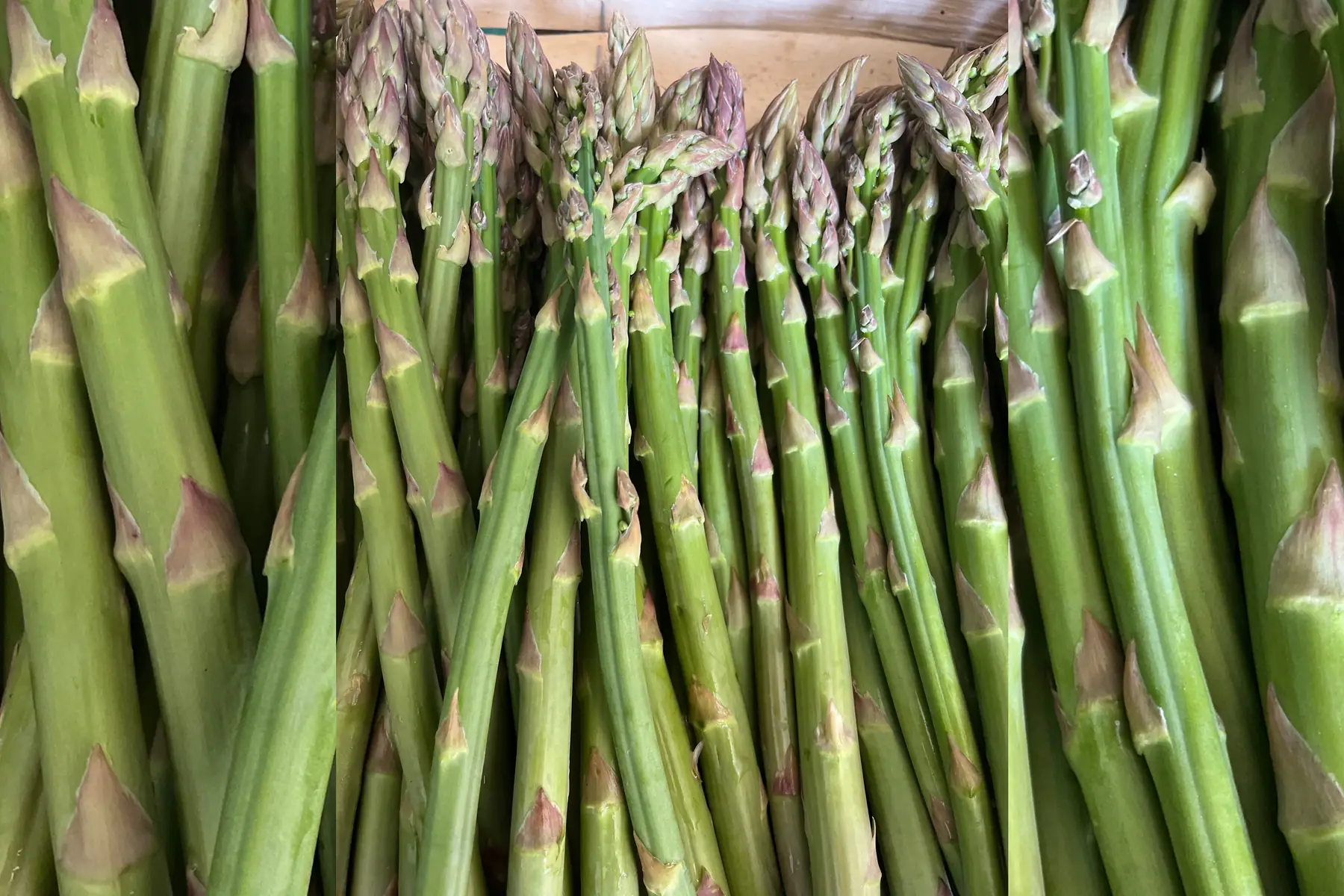Asperges vertes BIO 500grs