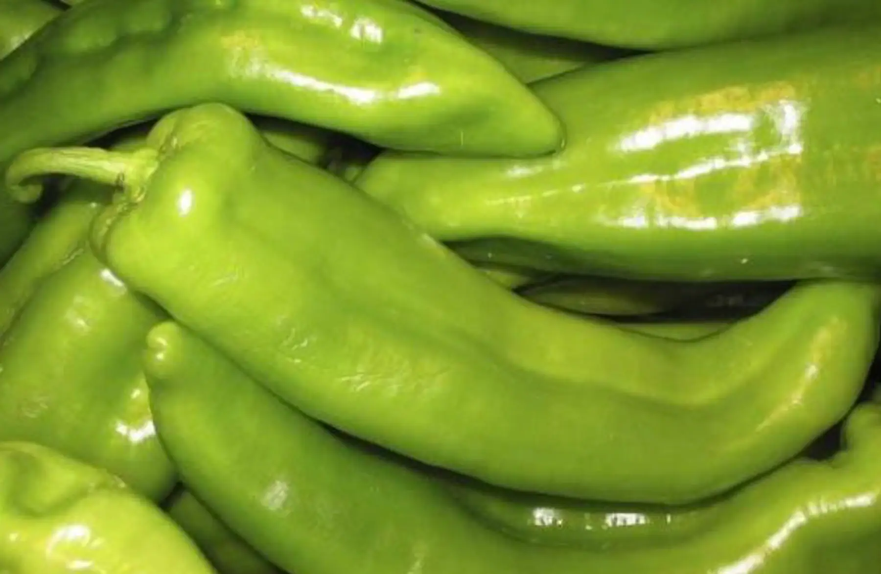 Piment doux gros long