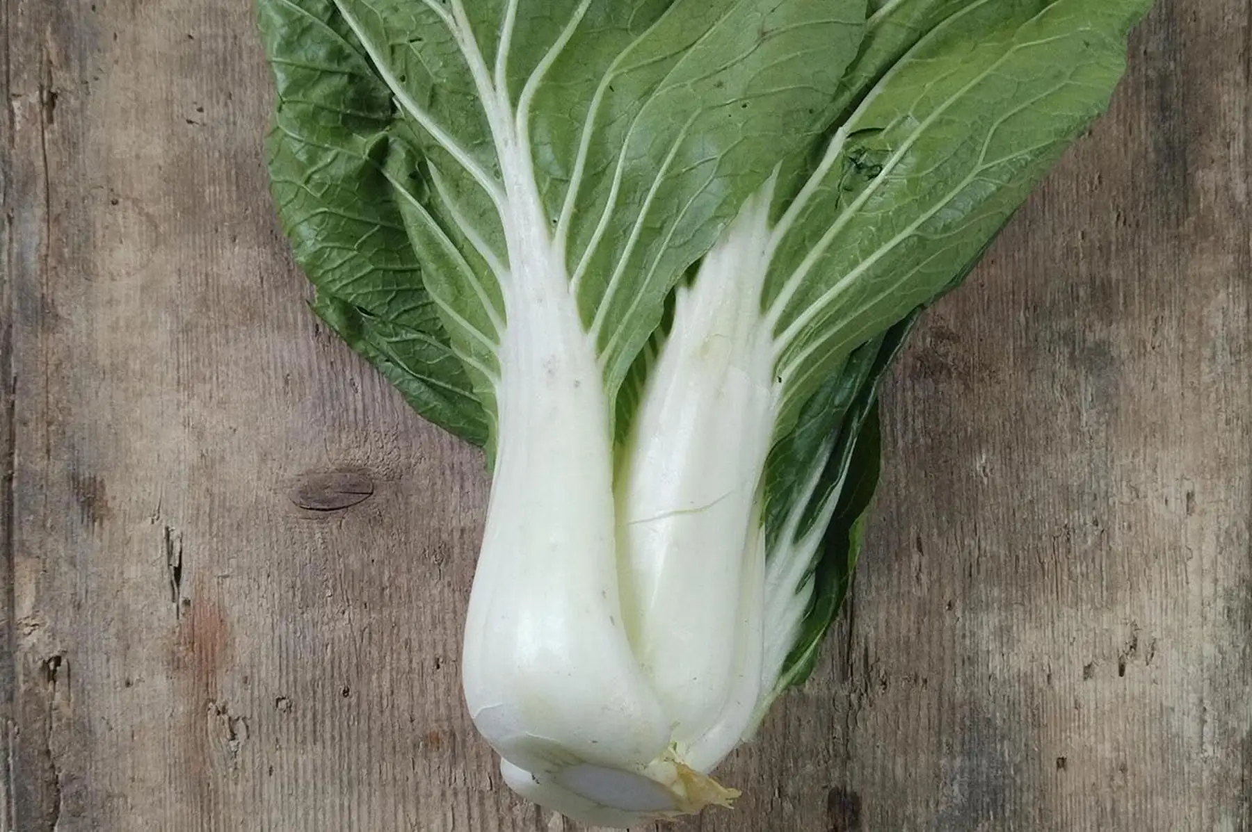 Chou pak choi