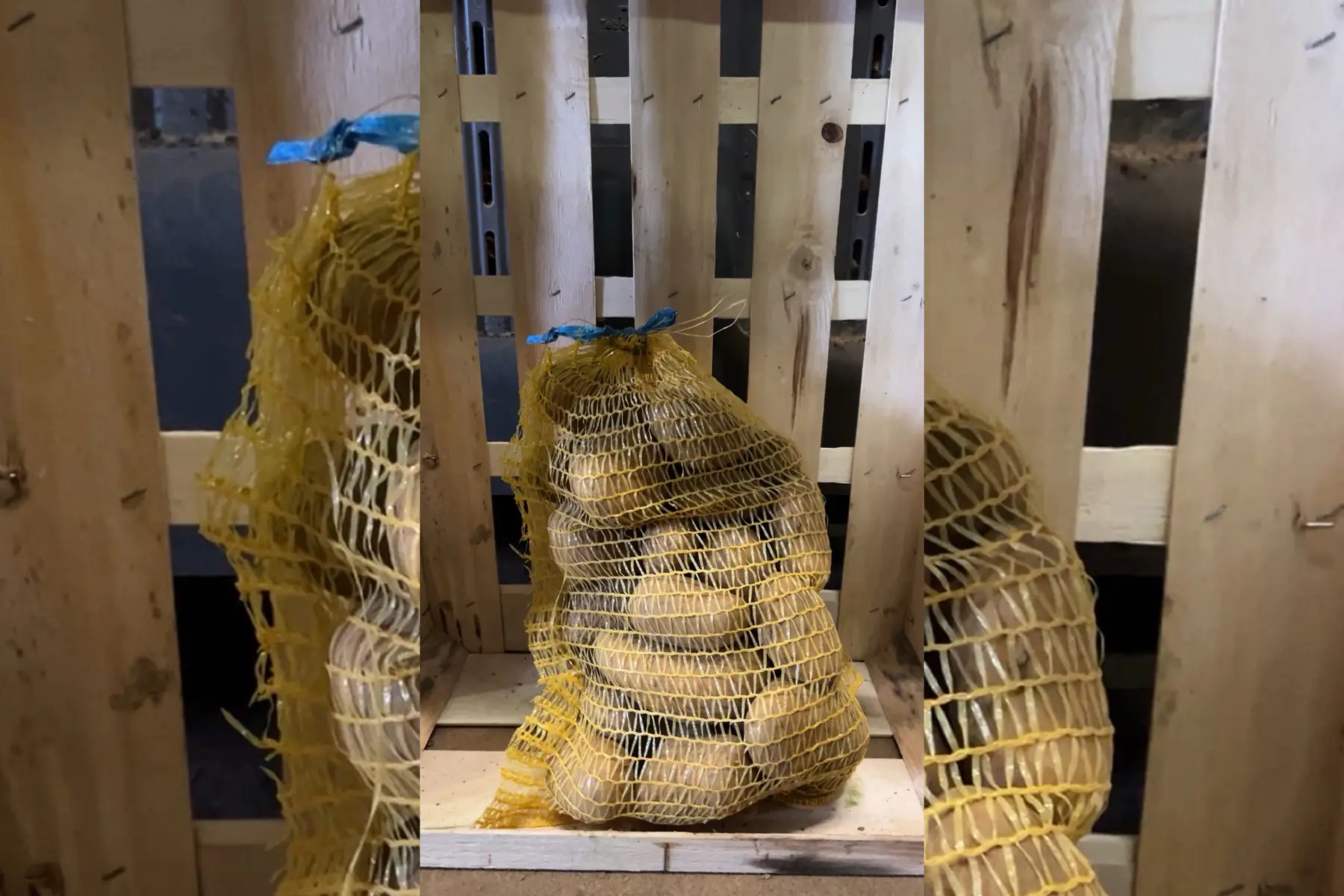 Filet 3kg pomme de terre Gourmandine