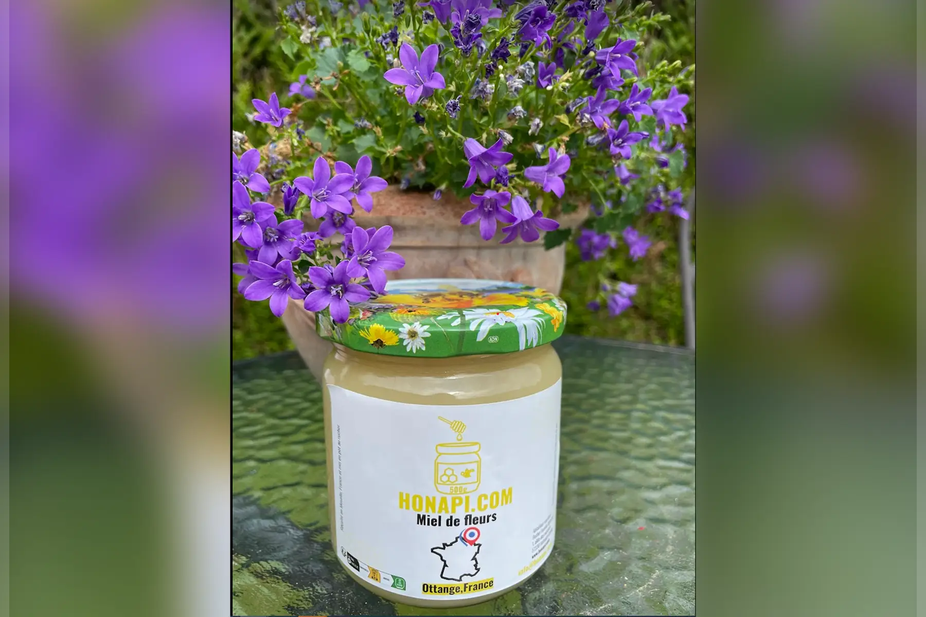 rucher famille vigneron - honapi