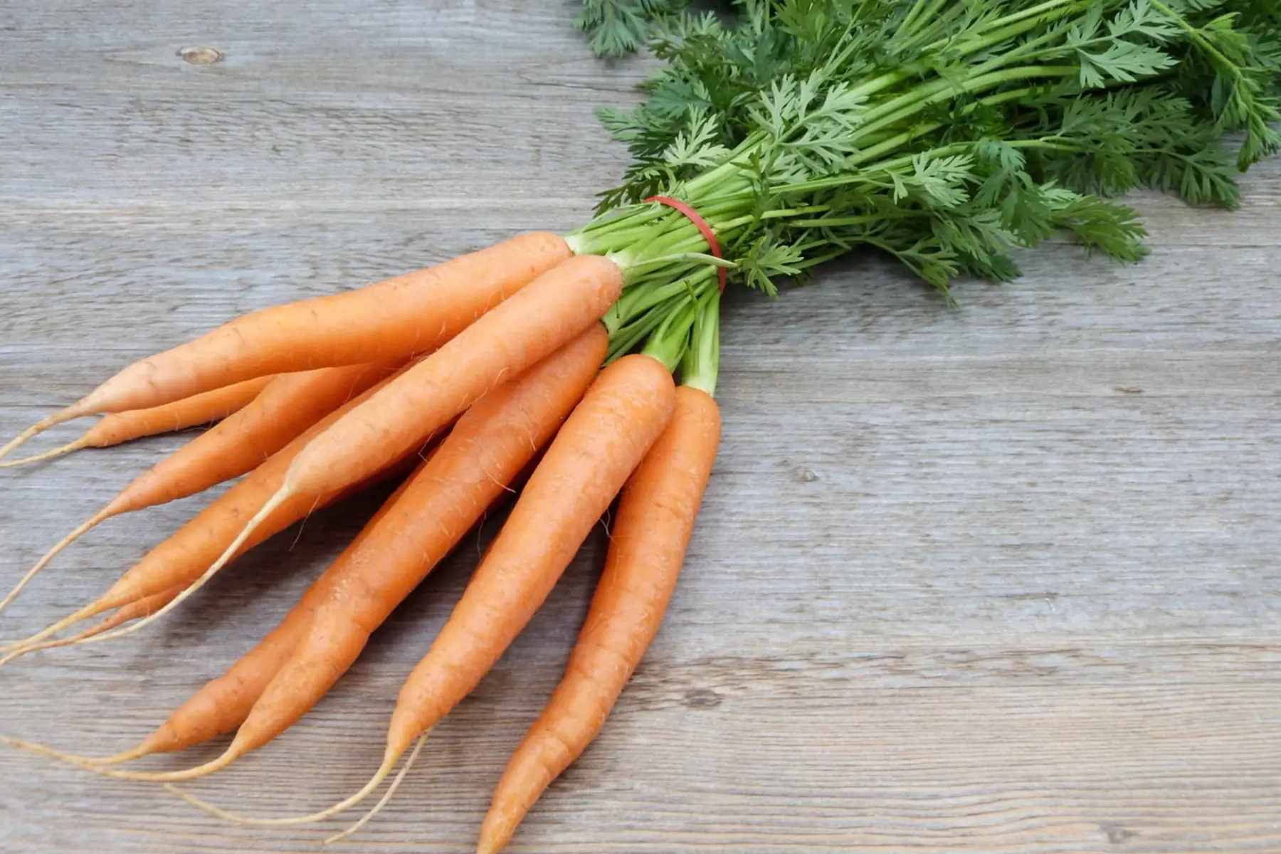 Carottes