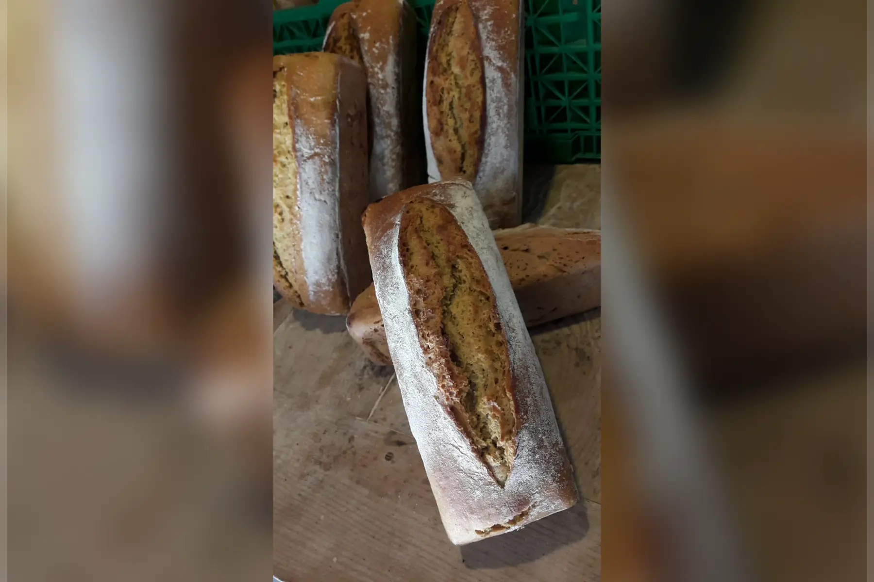 La vie dans les champs (Rhizome)