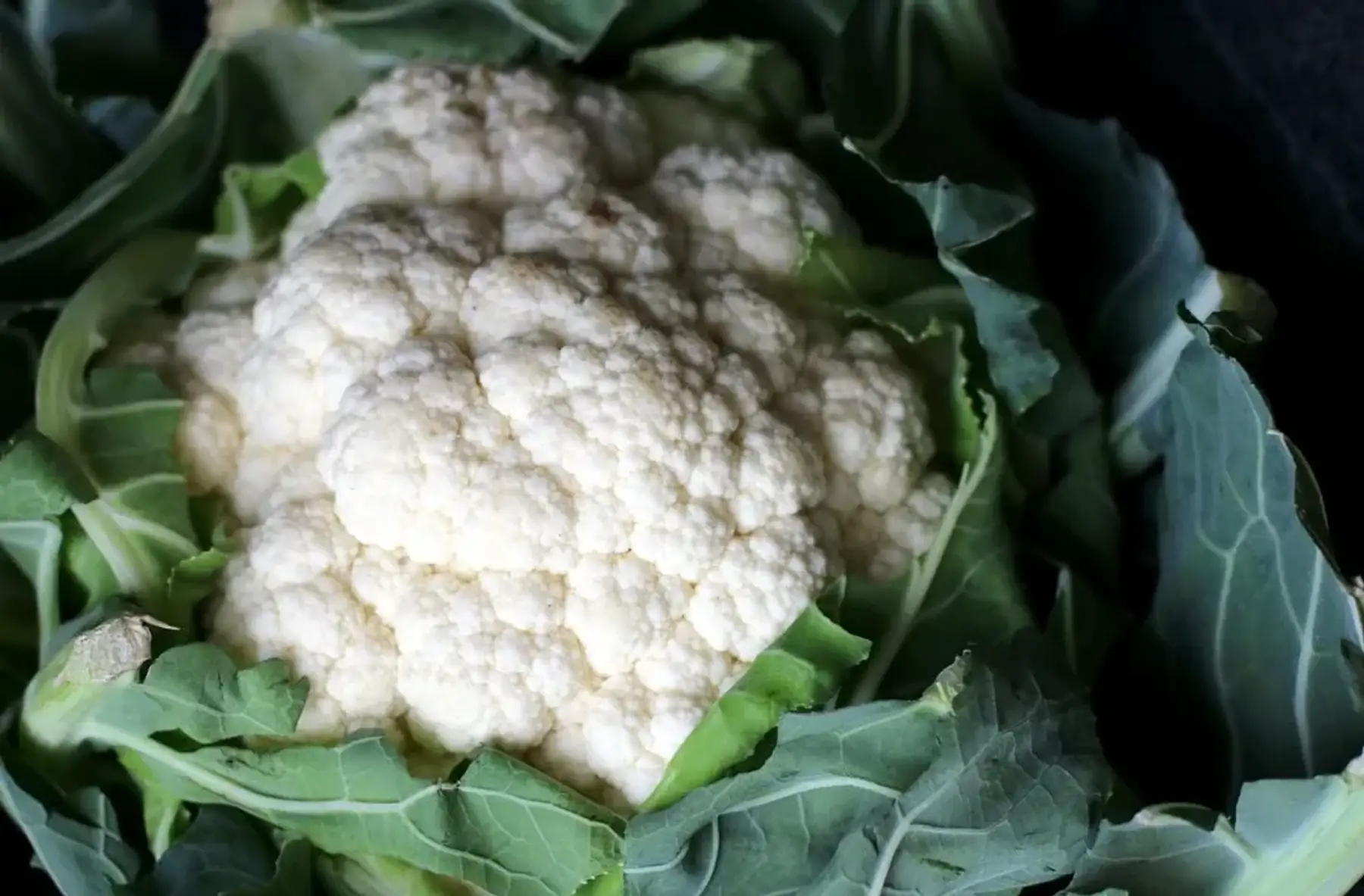 Chou fleur