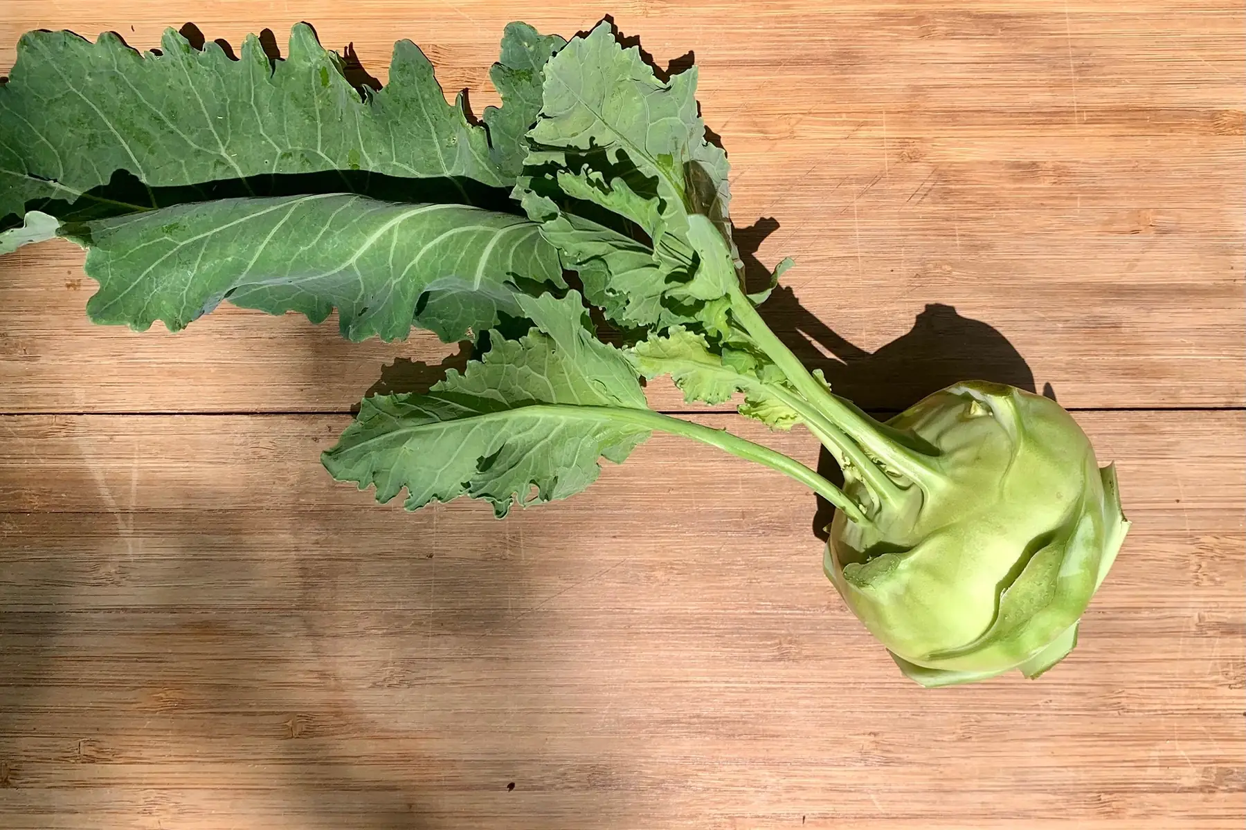 Chou-rave vert