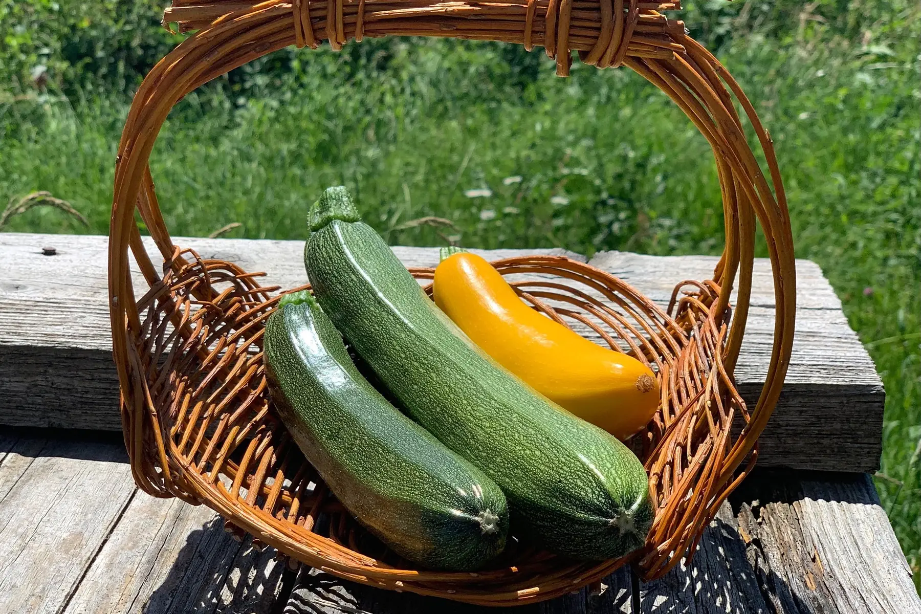 Courgettes