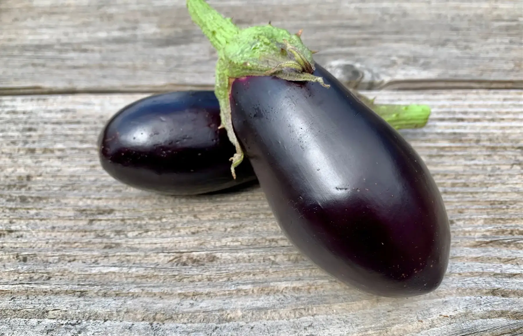 Aubergine