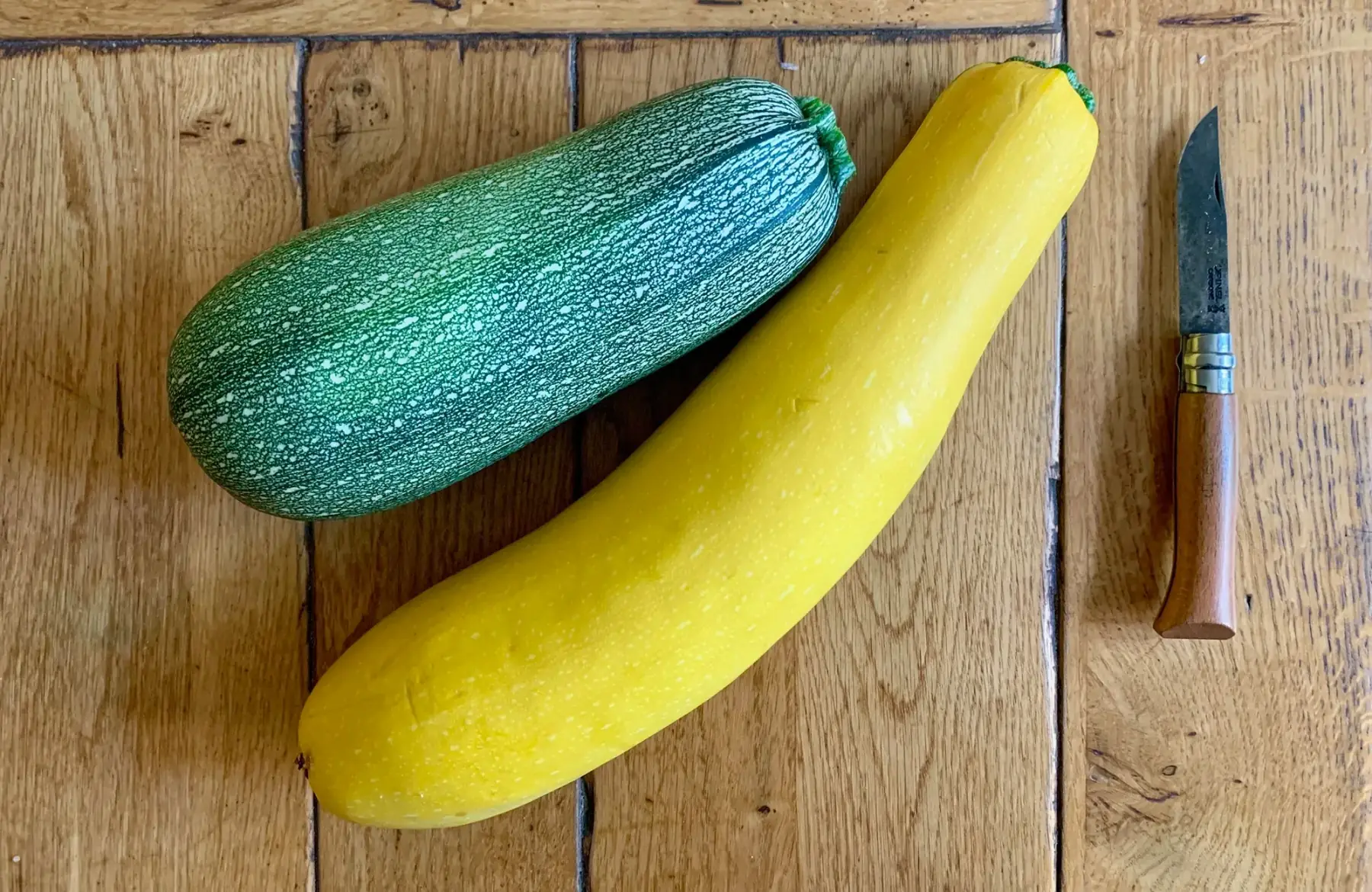 Courgette spécial conserve