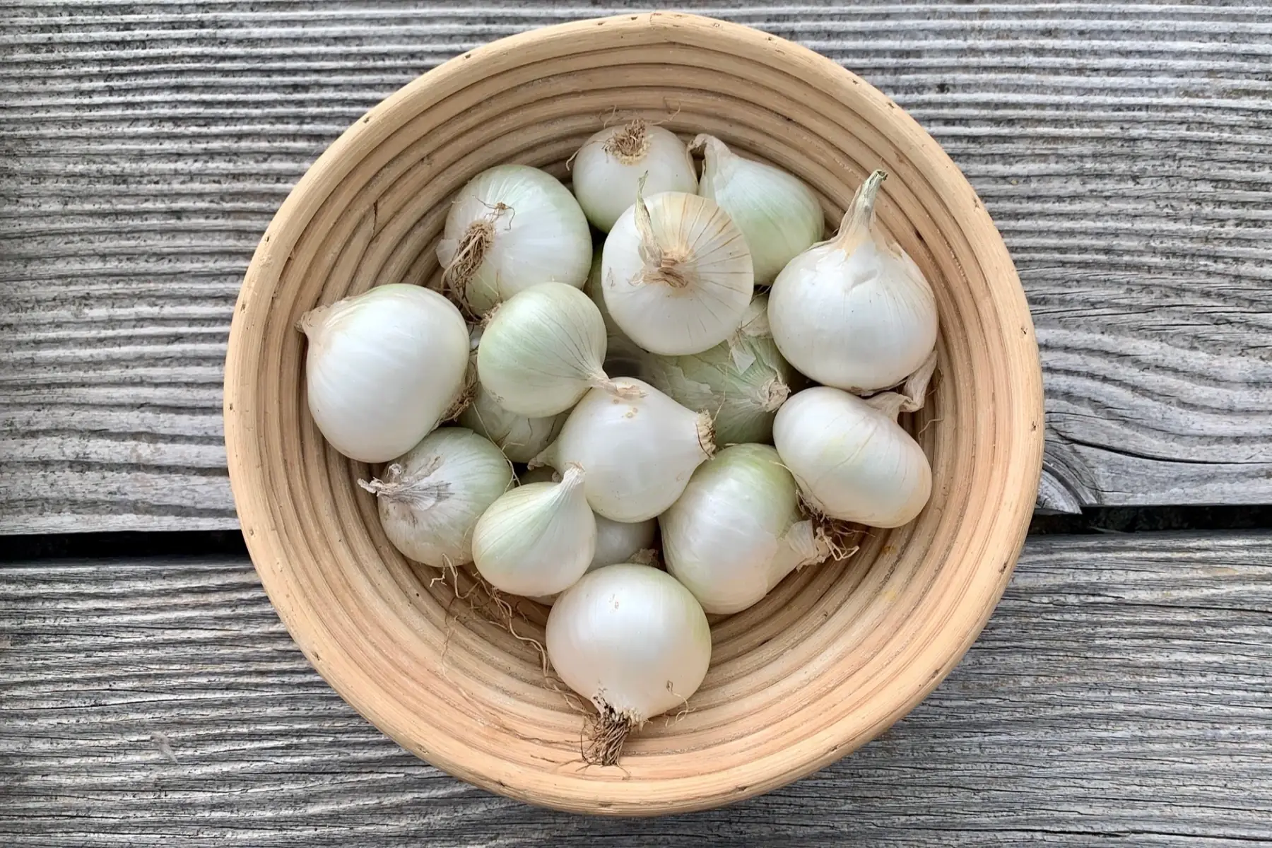 Oignons blancs