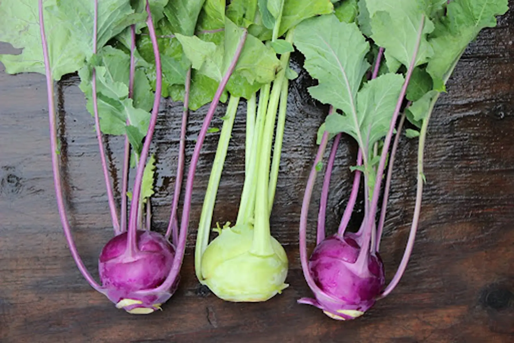 Chou rave - Produit au Jardin