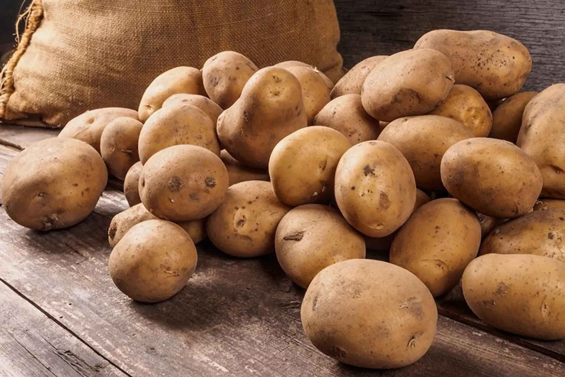 Pomme de terre - produit au jardin