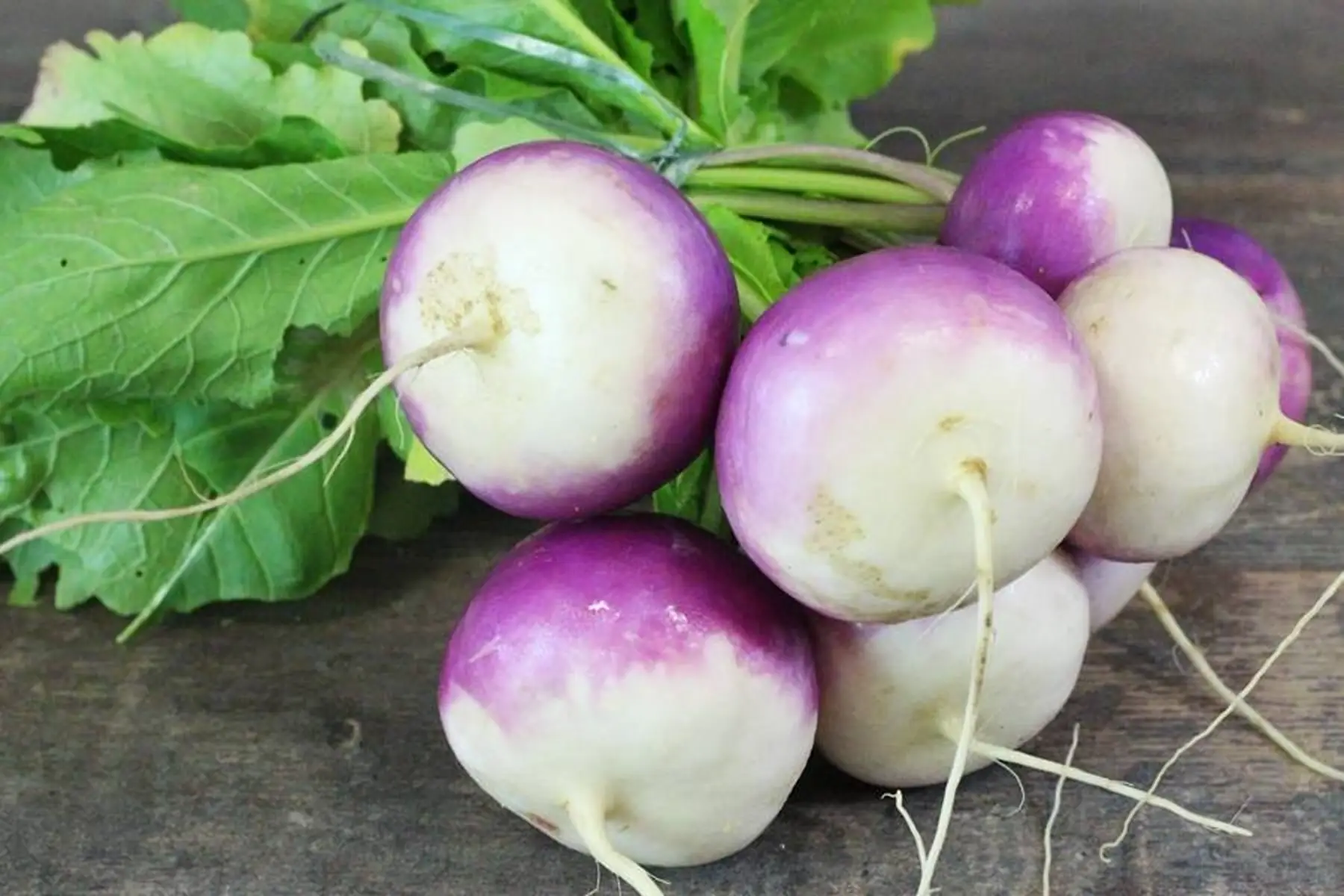 navet nouveau - Produit au Jardin