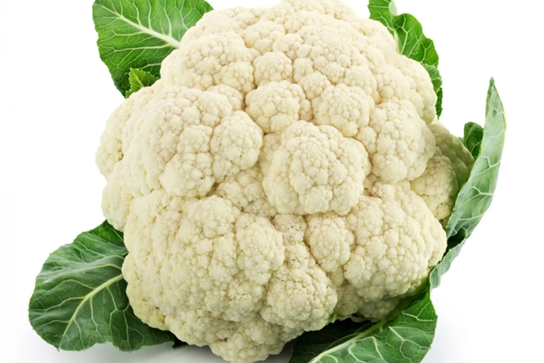 Chou fleur - Origine Bretagne