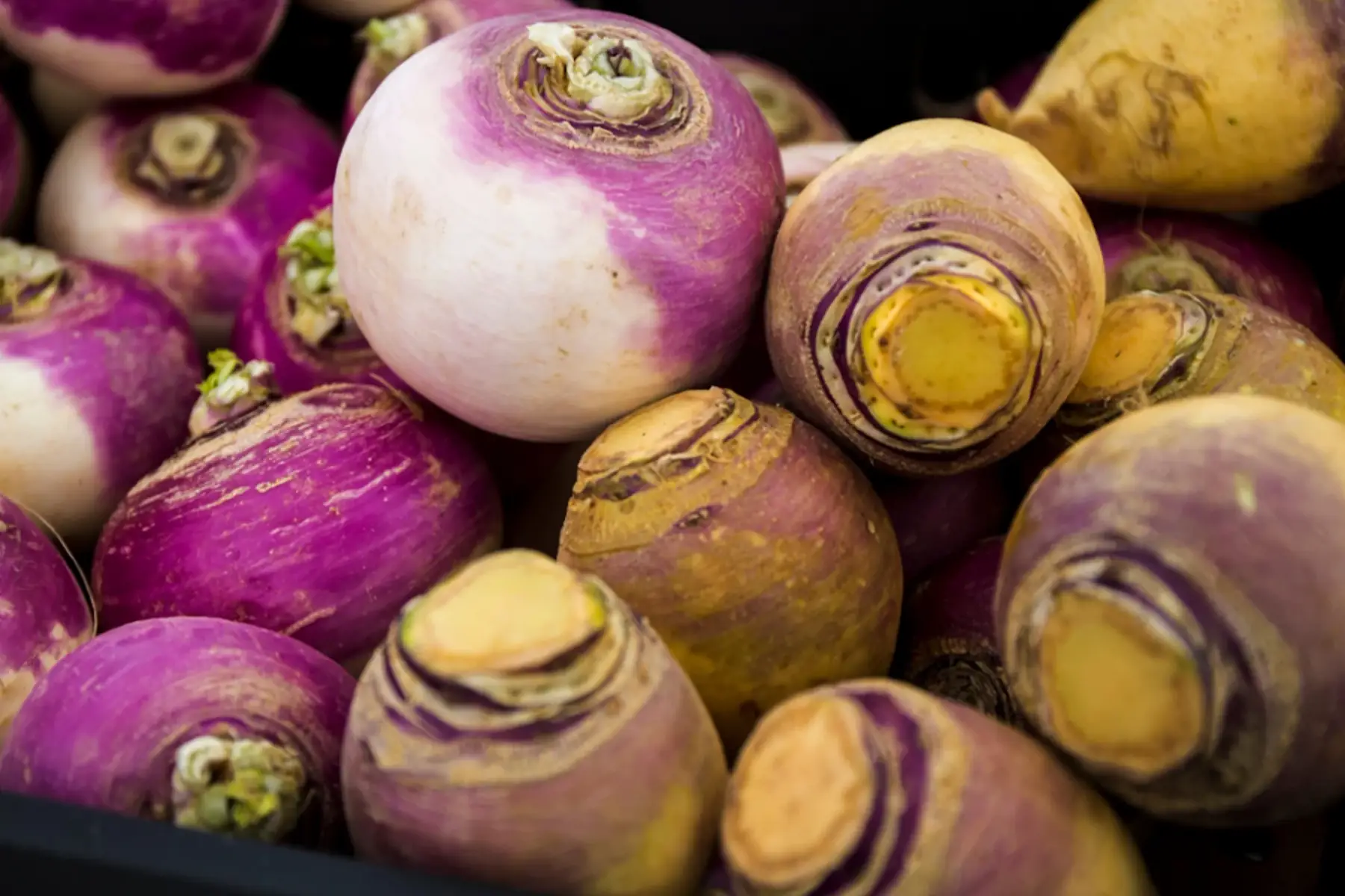 navet - Produit au Jardin