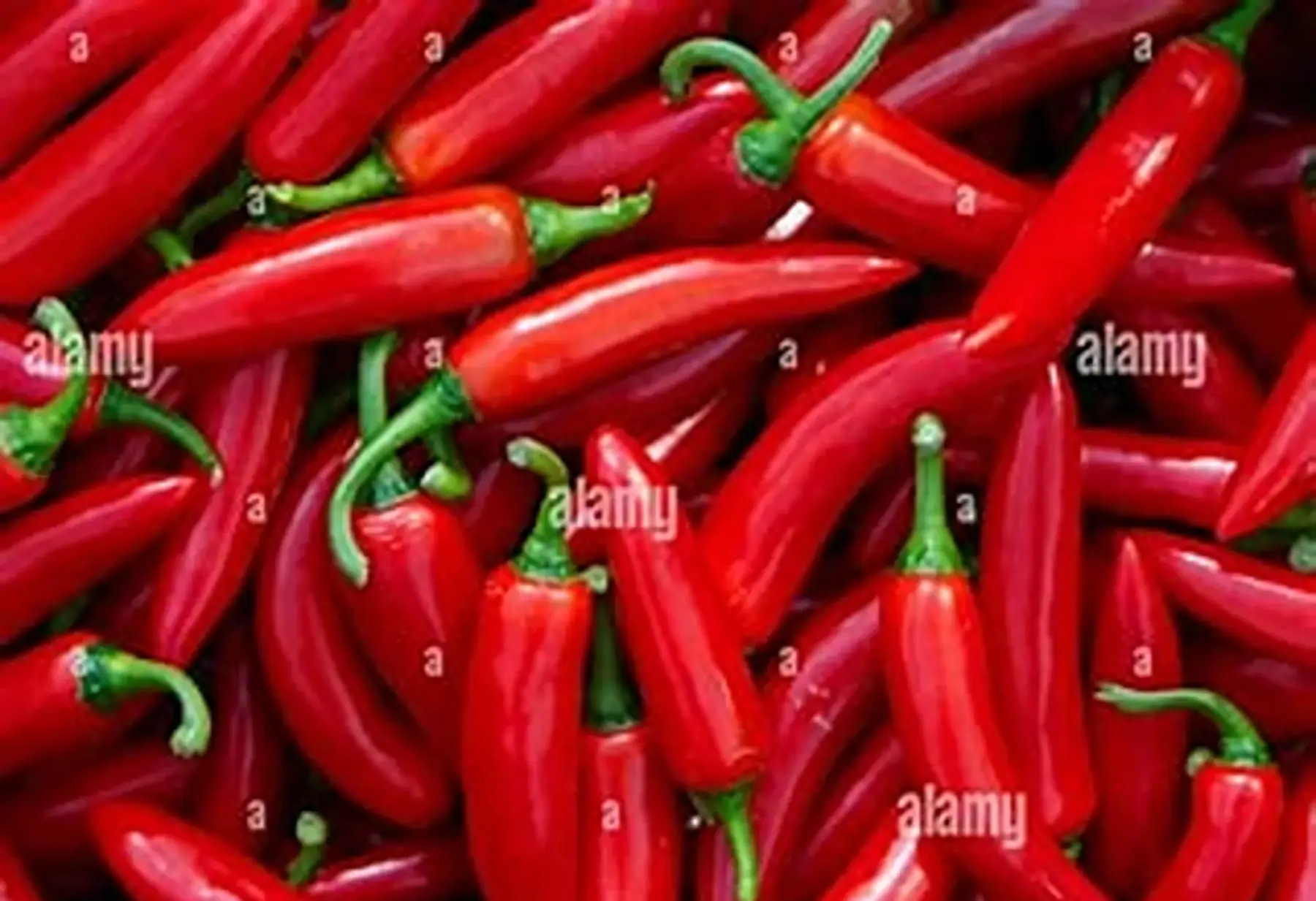 Piment