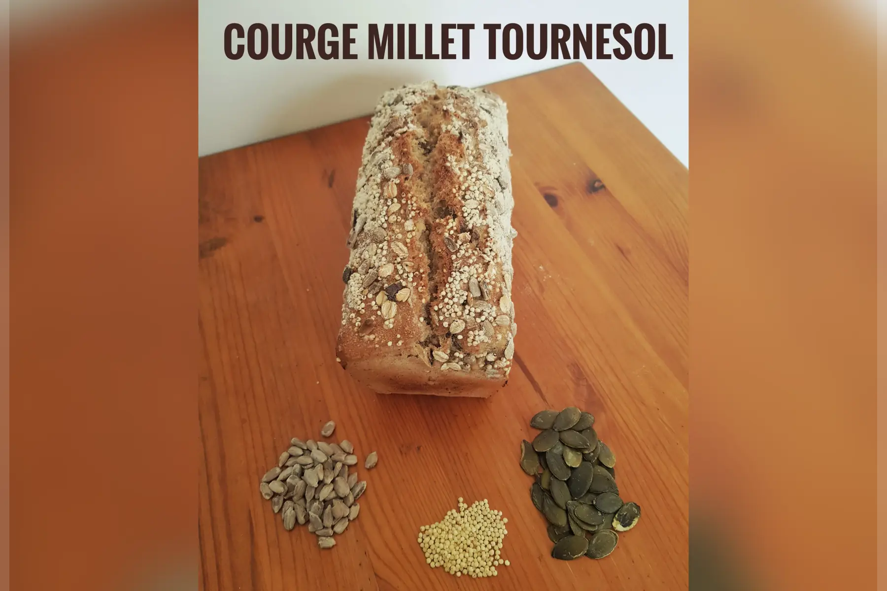 Campagne courge millet tournesol