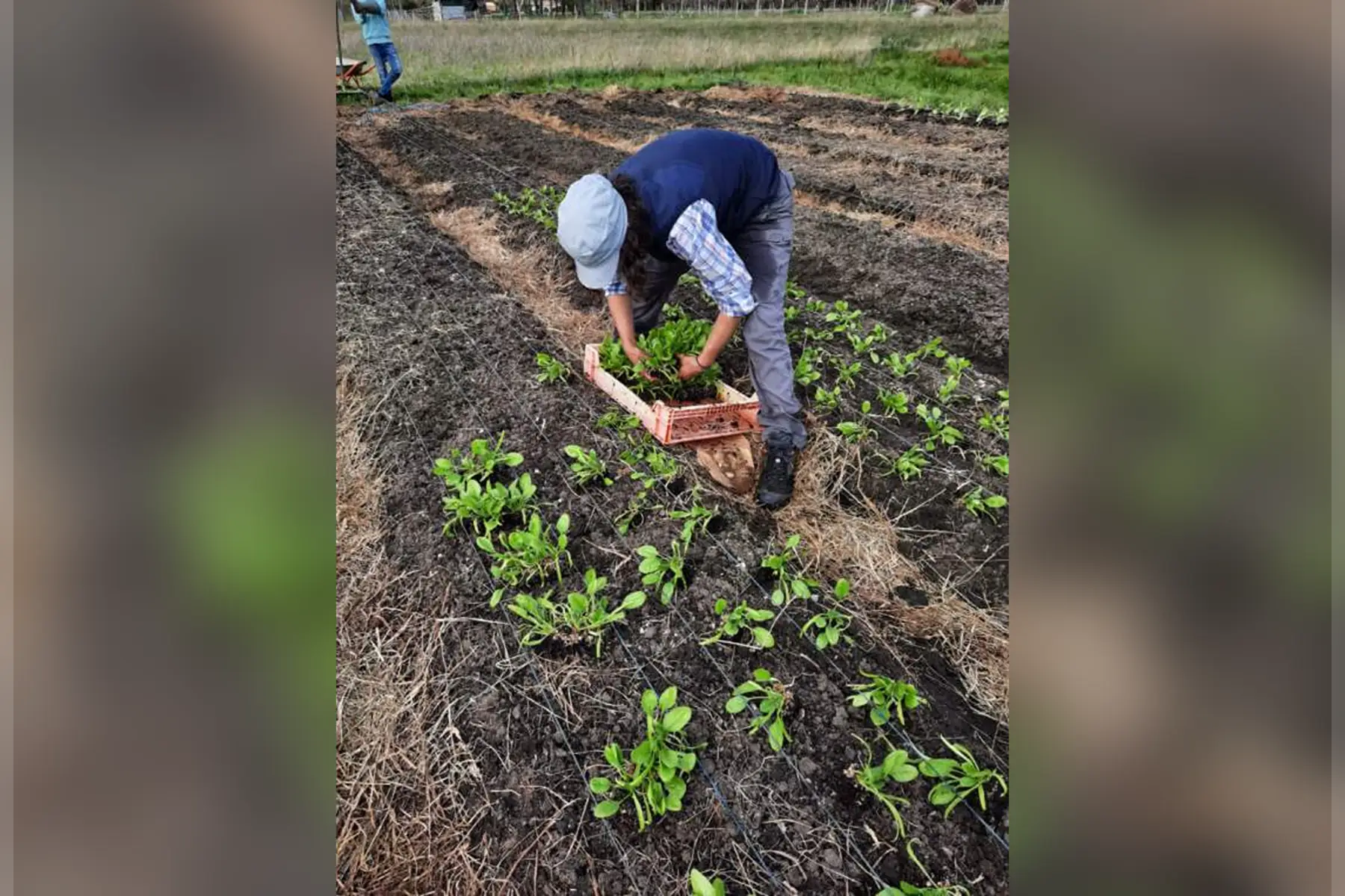 Les Jardins de Naz de Hé