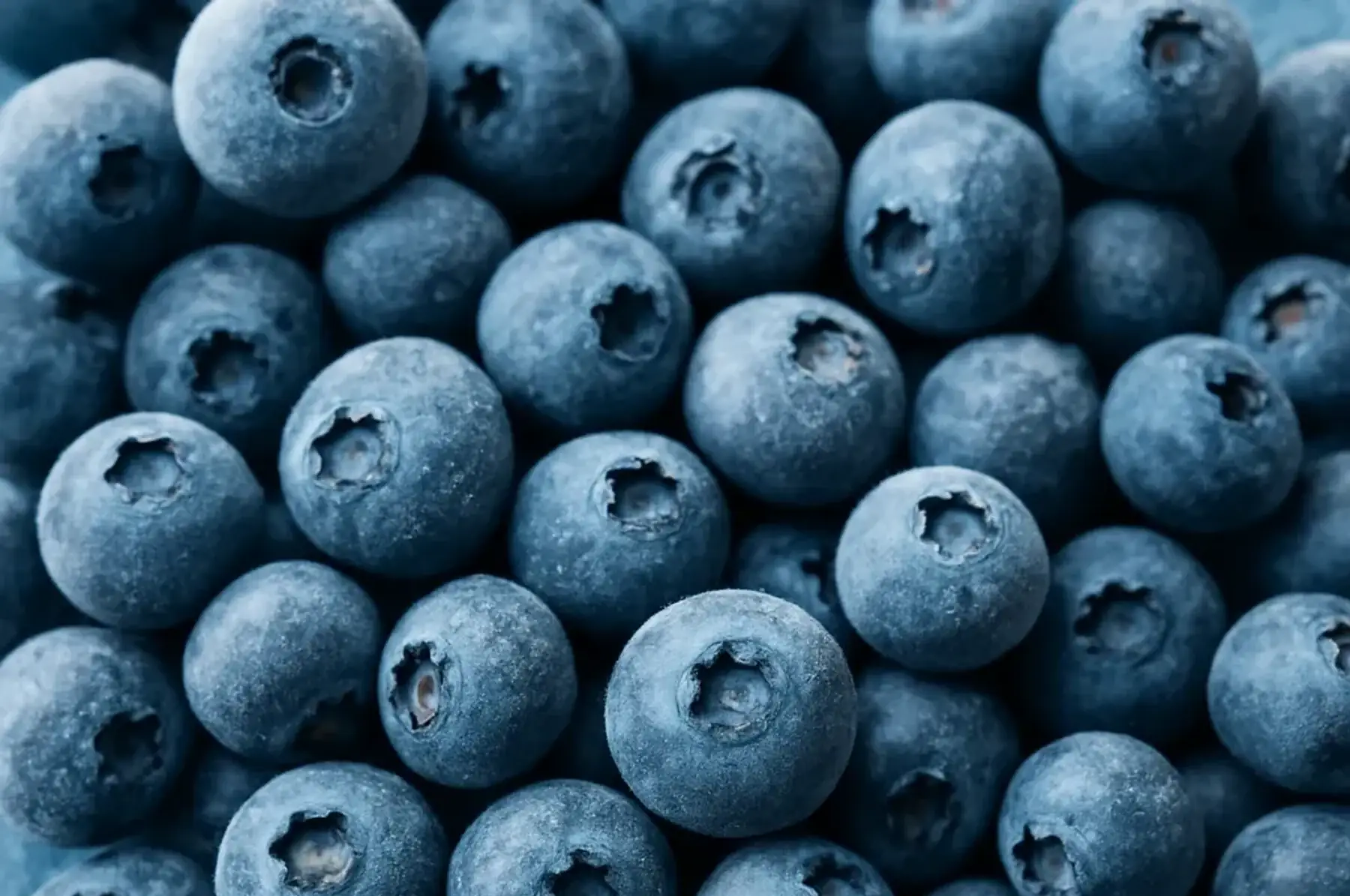 Myrtilles Surgelées BIO