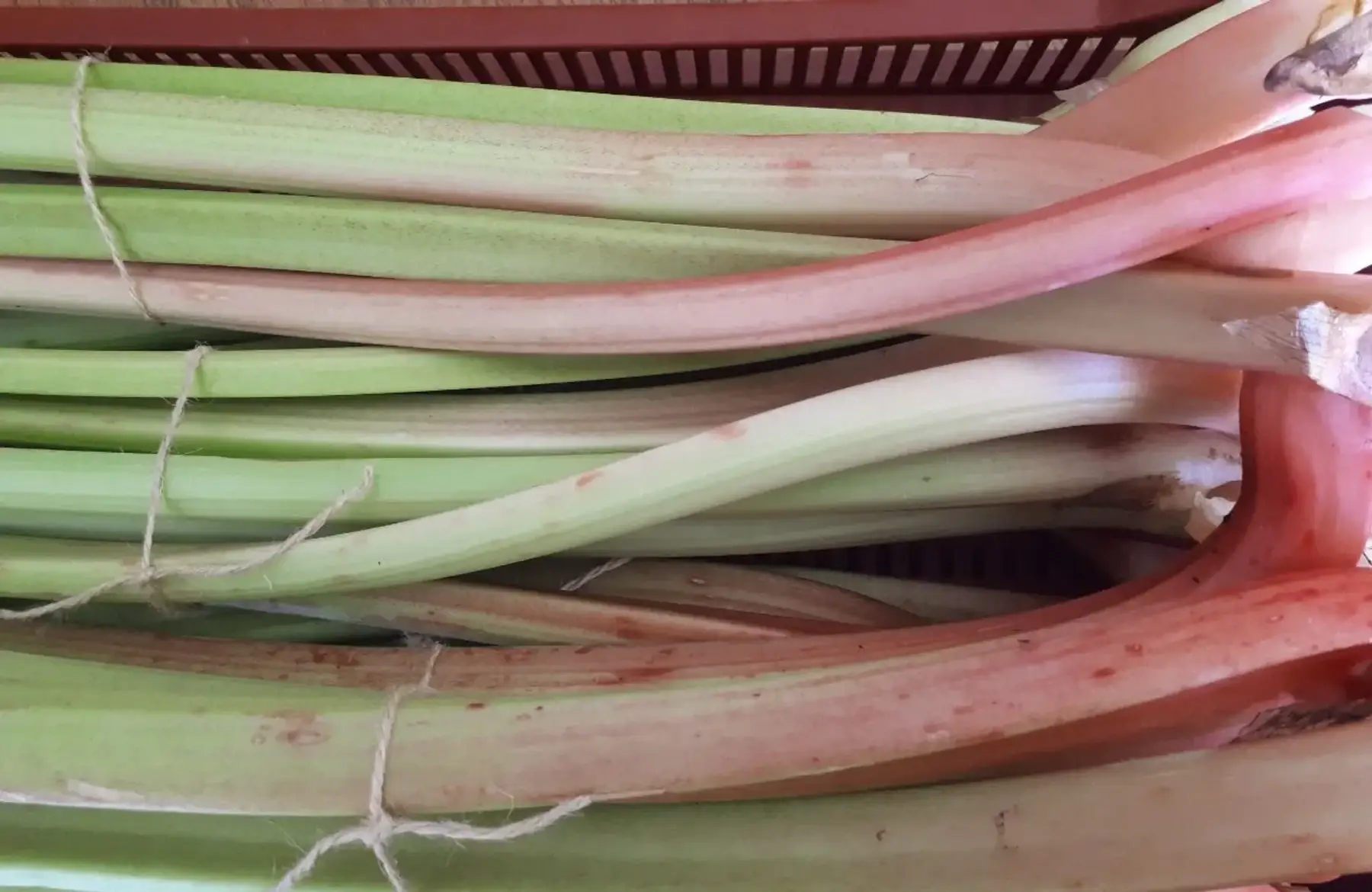 Rhubarbe fraîche BIO