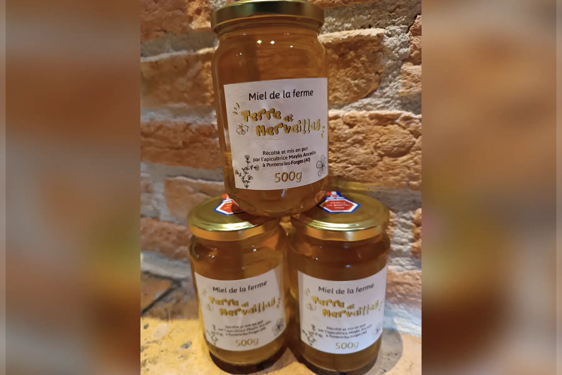 Miel de printemps 500g