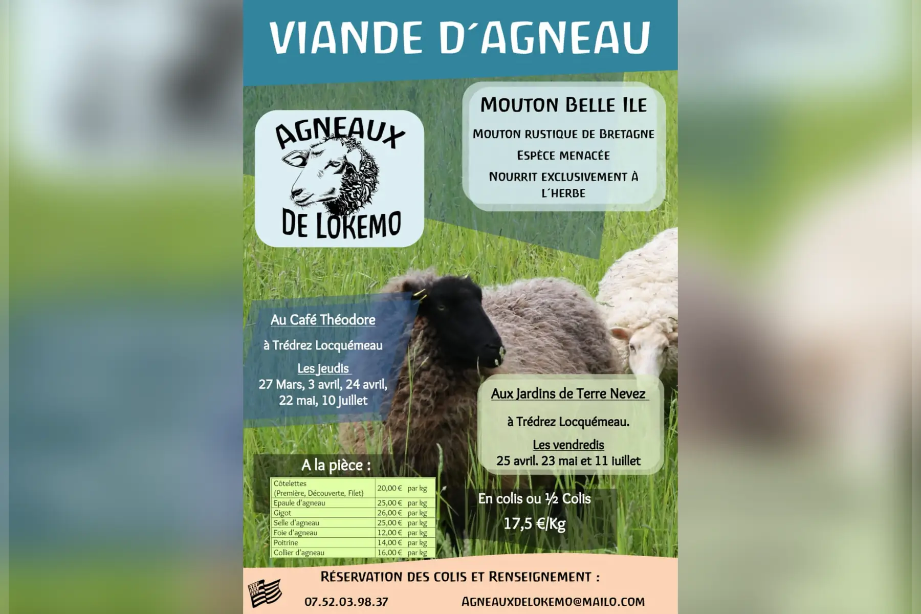 Agneaux de Lokemo