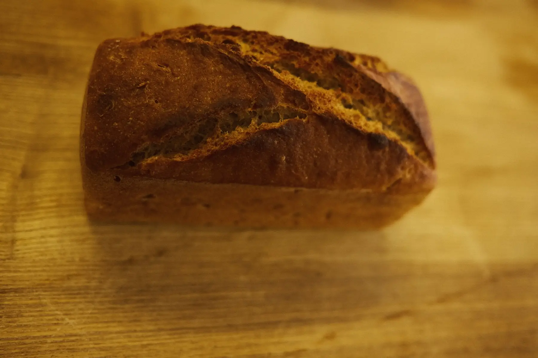 Petit Épeautre