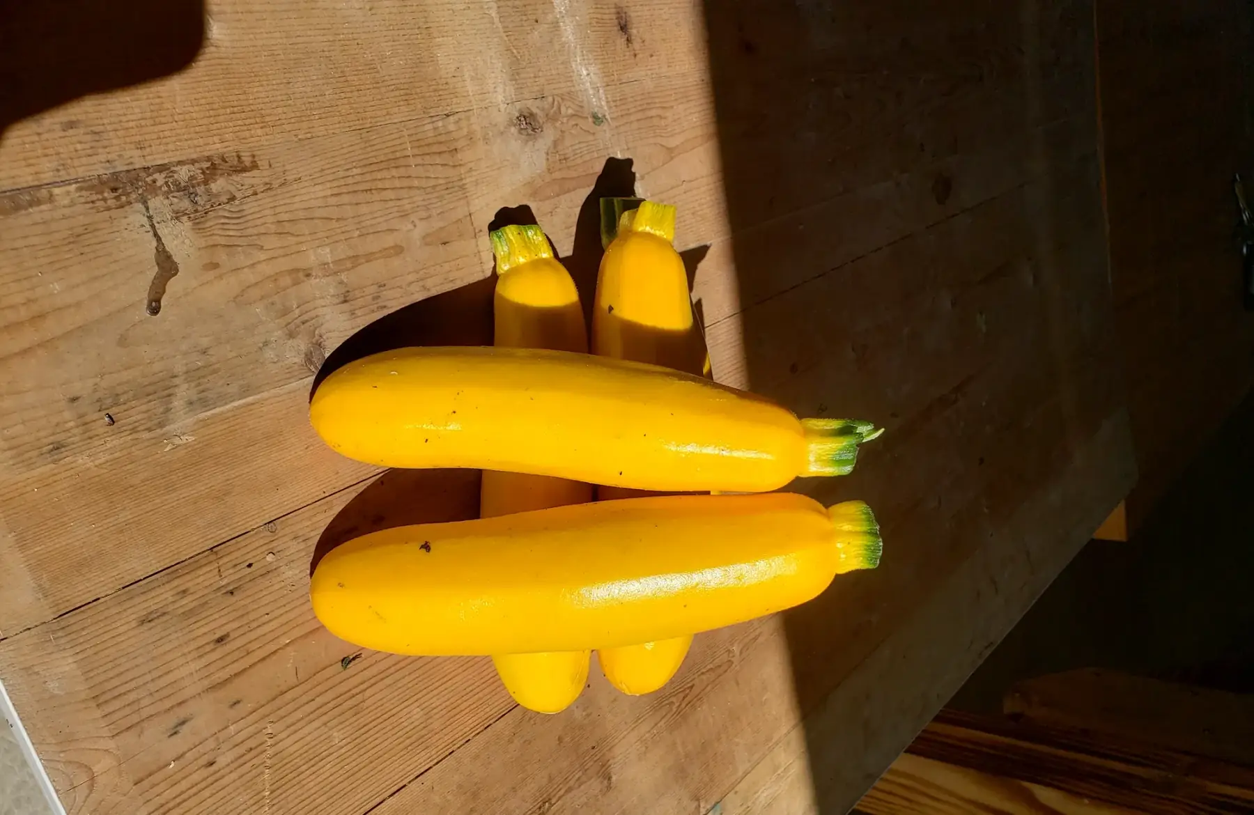 Courgettes jaunes