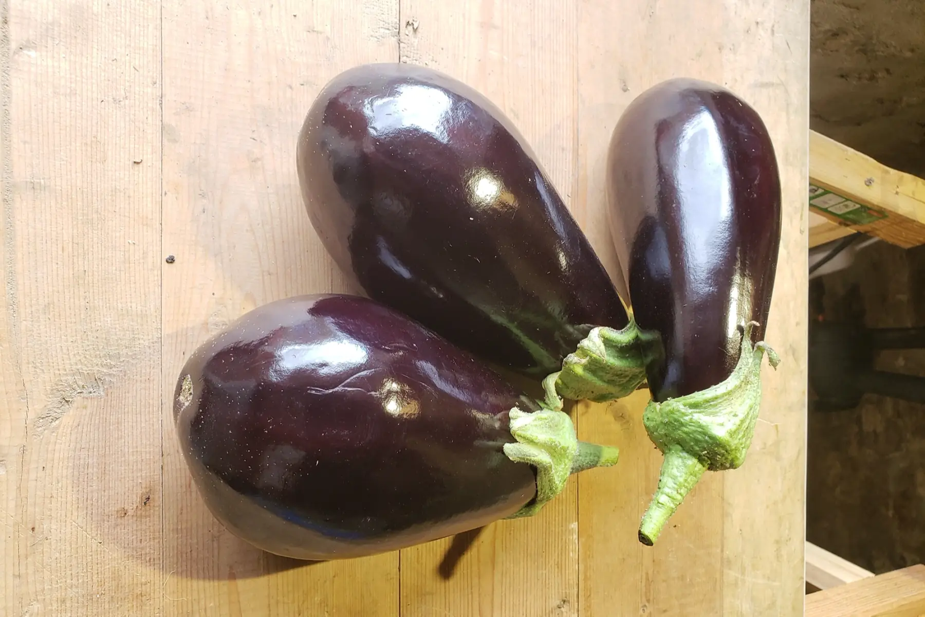 Aubergines
