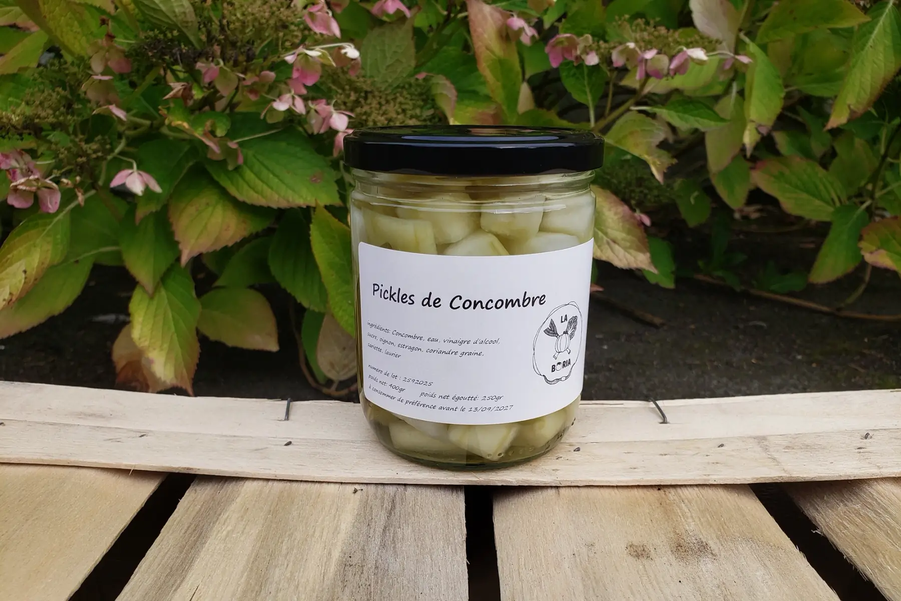 Pickles de concombres
