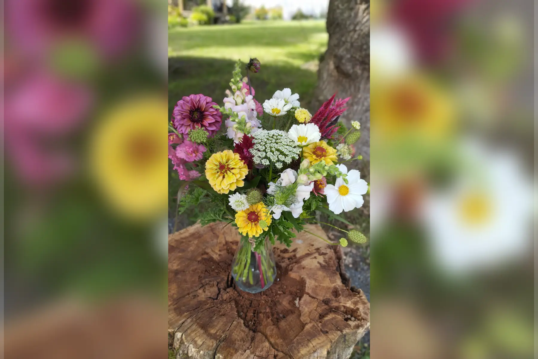 Bouquet de fleurs de saison