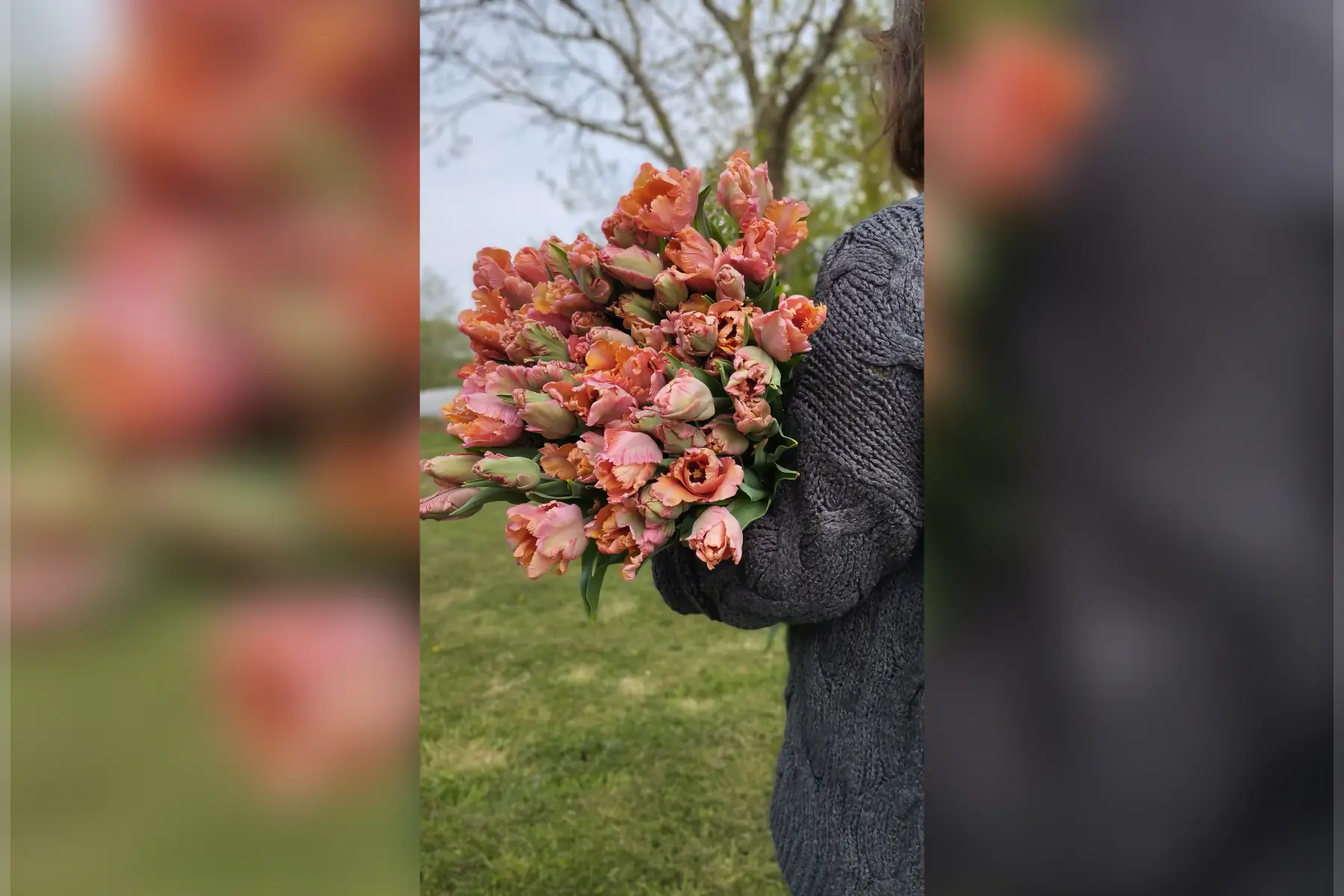 Ça pousse marguerite