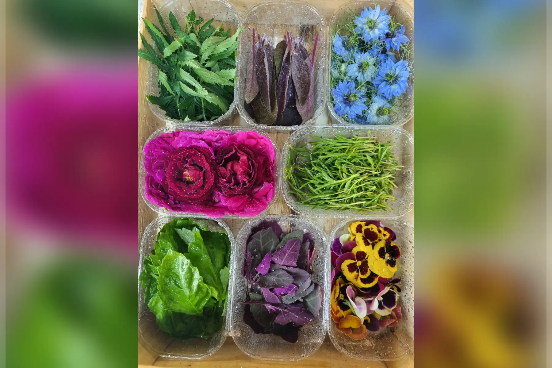 🍱 Nos plateaux "Découvertes" fleurs & jeunes pousses bio