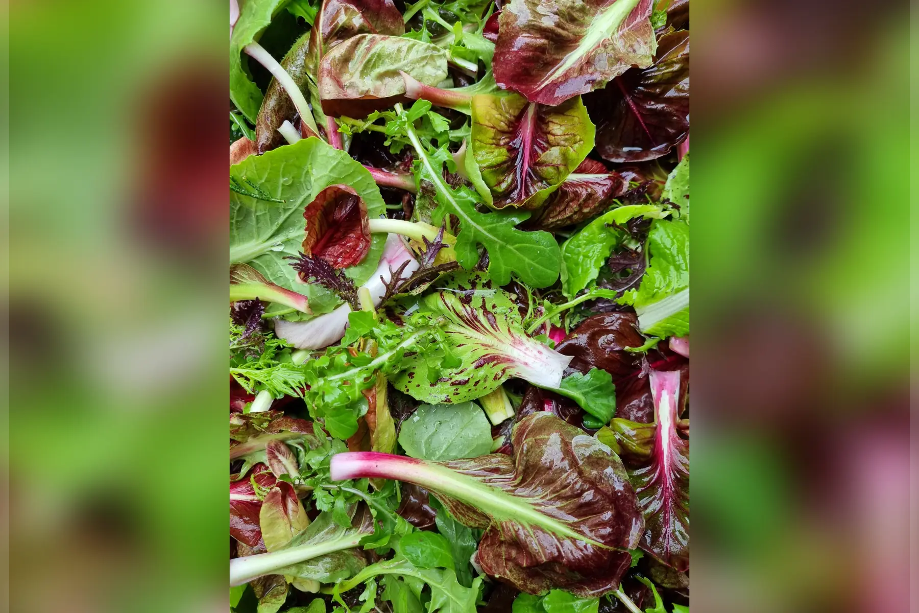 Mesclun & Cie bio (au choix)