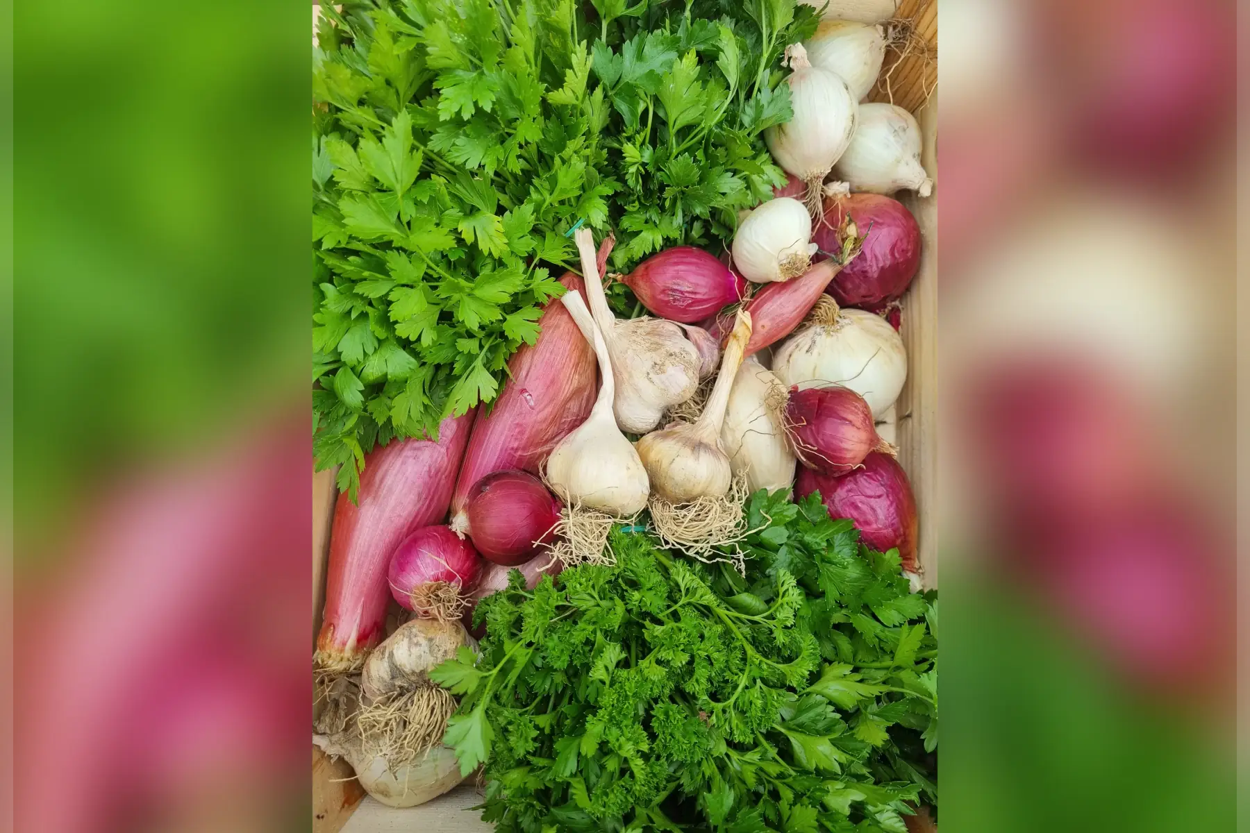 🥘 Les paniers "Recette" (au choix)