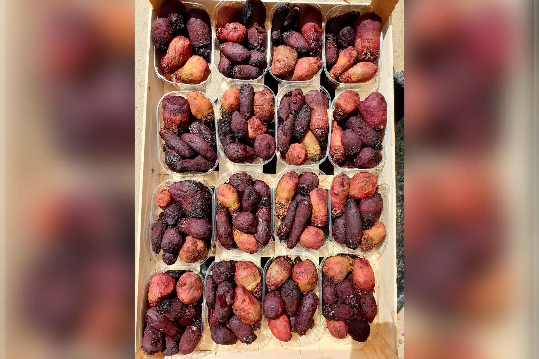 Betteraves cuites au chaudron bio