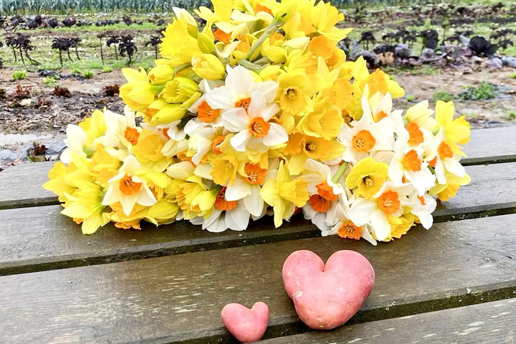 Bouquet de fleurs du jardin (au choix)