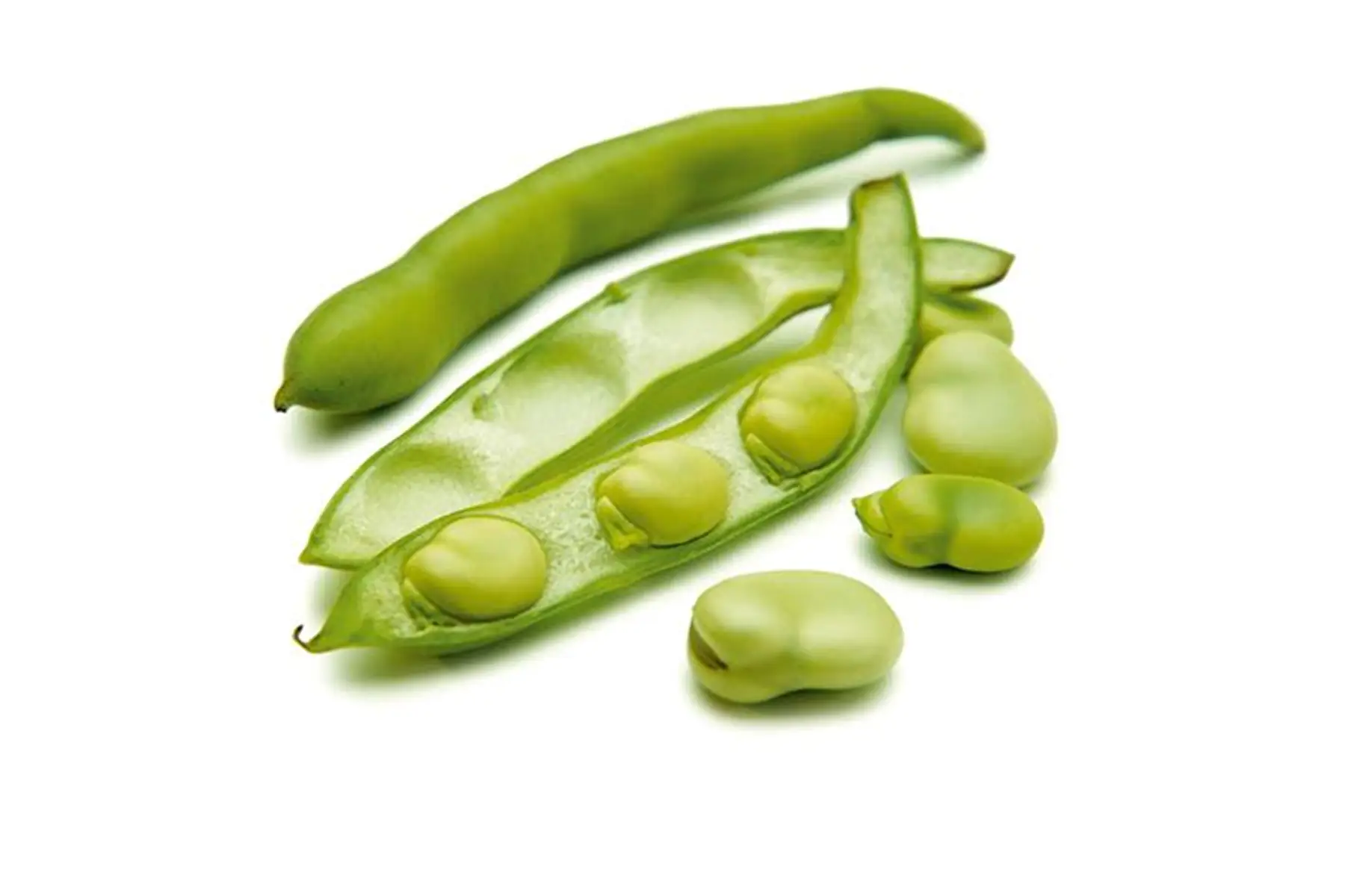 Fèves bio