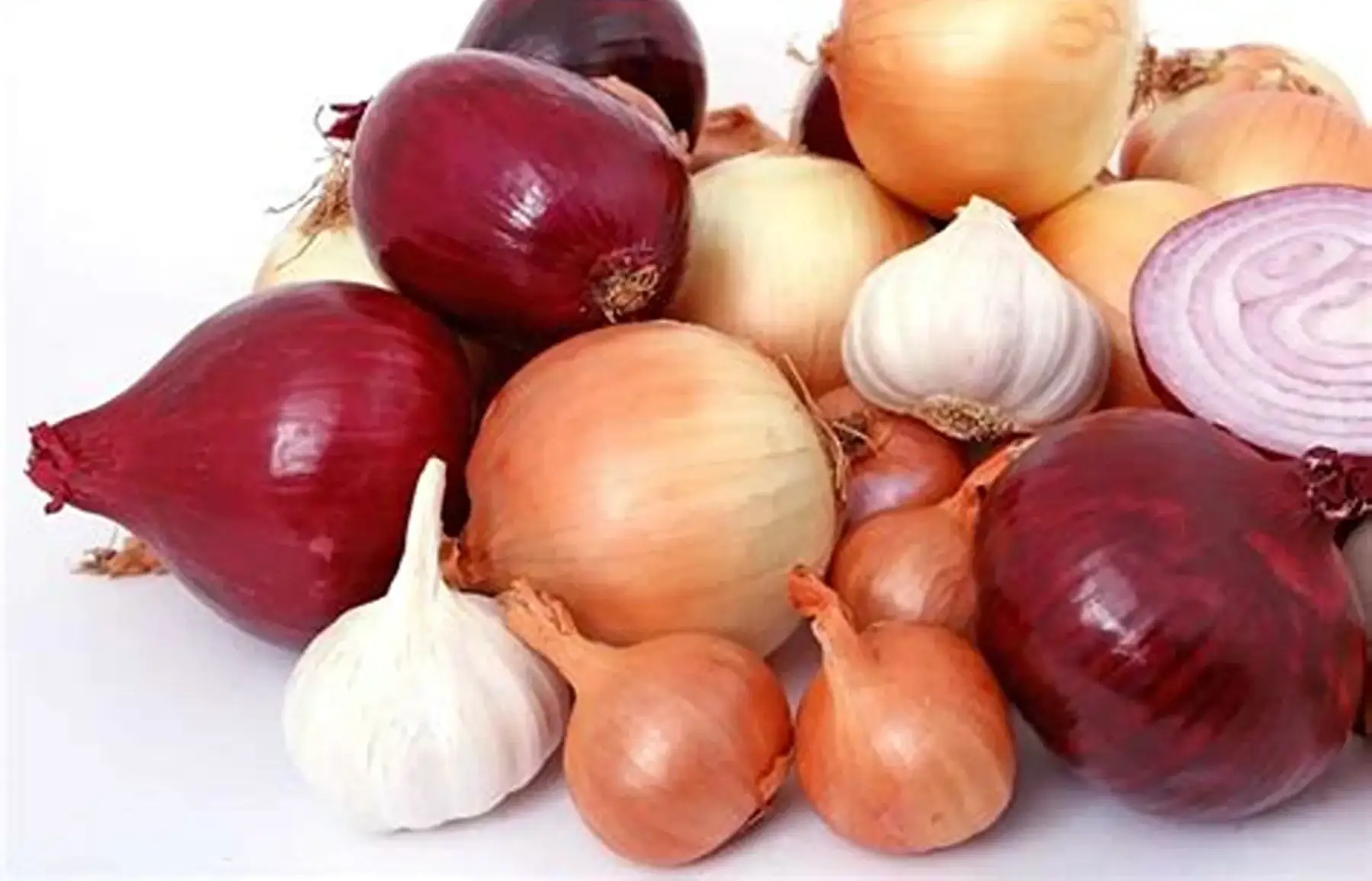 Oignon / Ail / Échalote bio