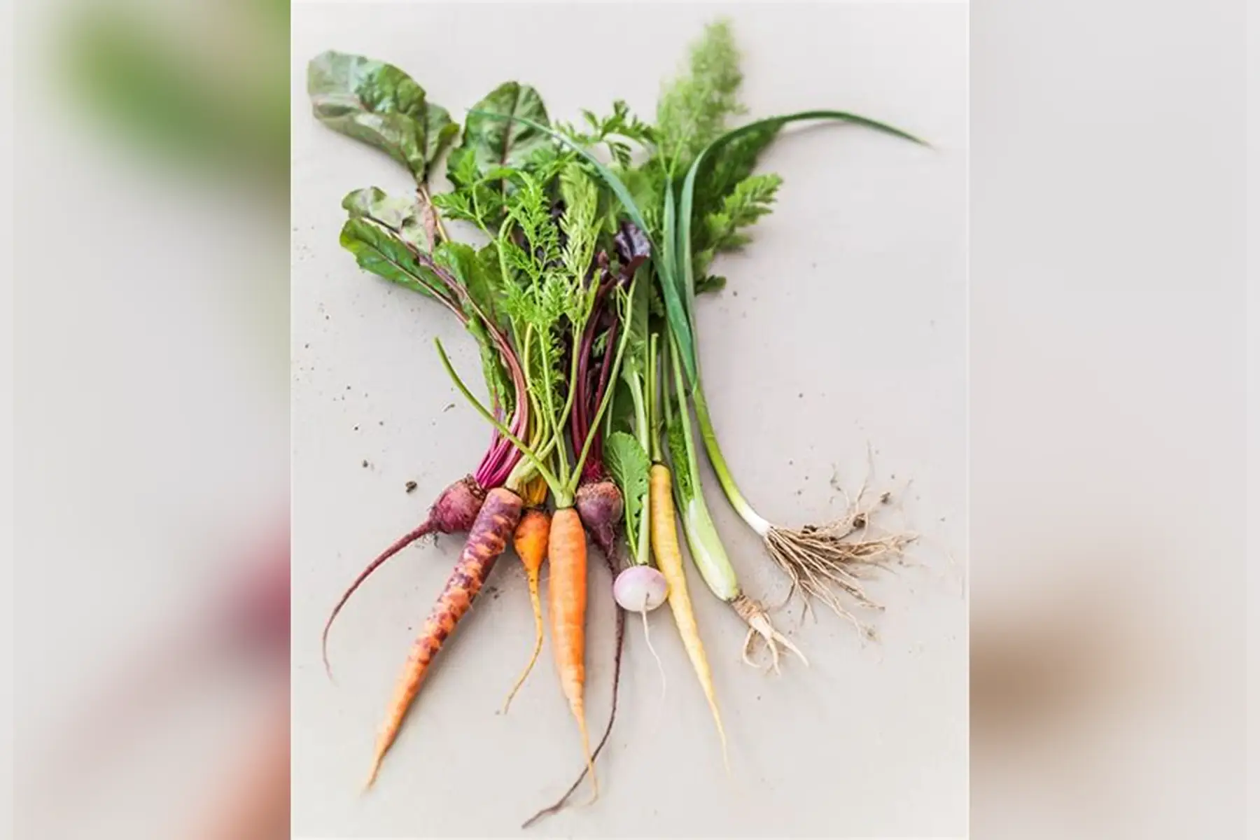 🥕 Mini-légumes bio (au choix)