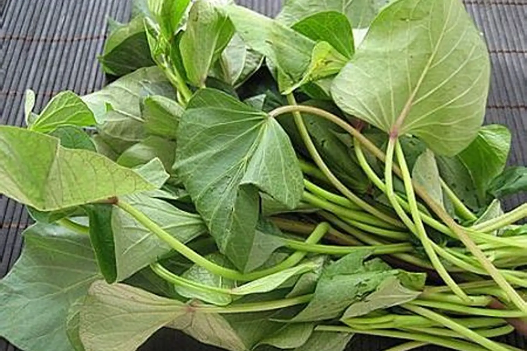 Nos originalités bio (au choix)