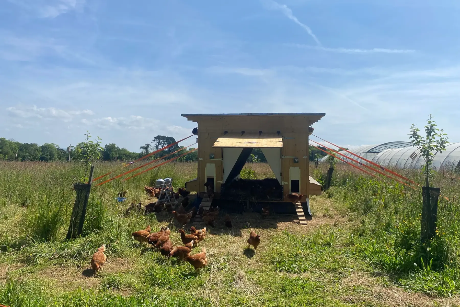 ferme de la petite montagne