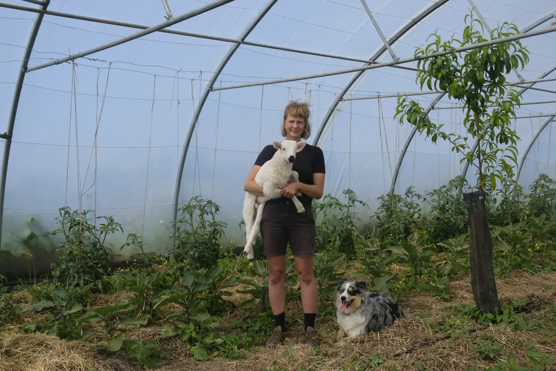 ferme de la petite montagne