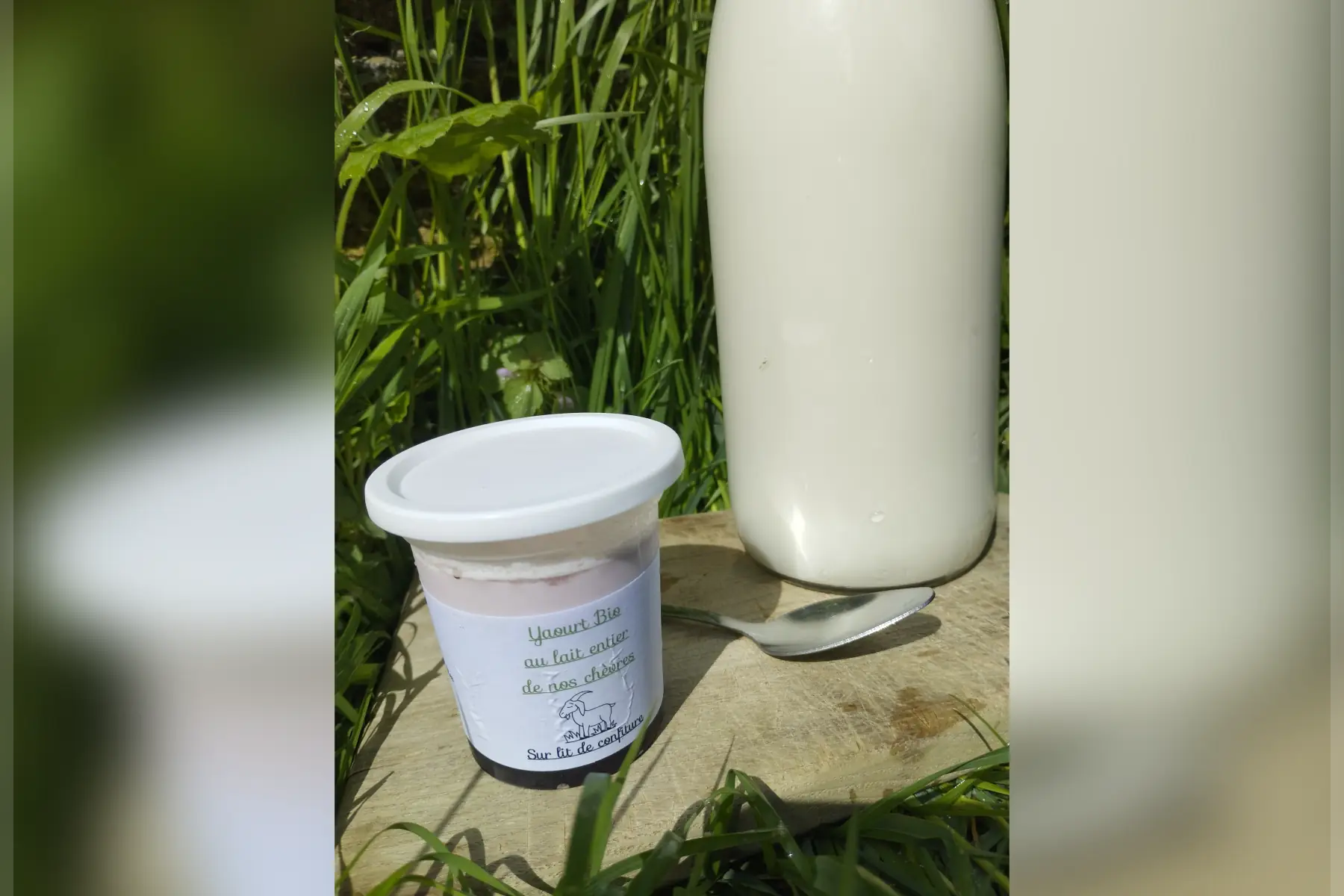 Yaourt chèvre confiture myrtille